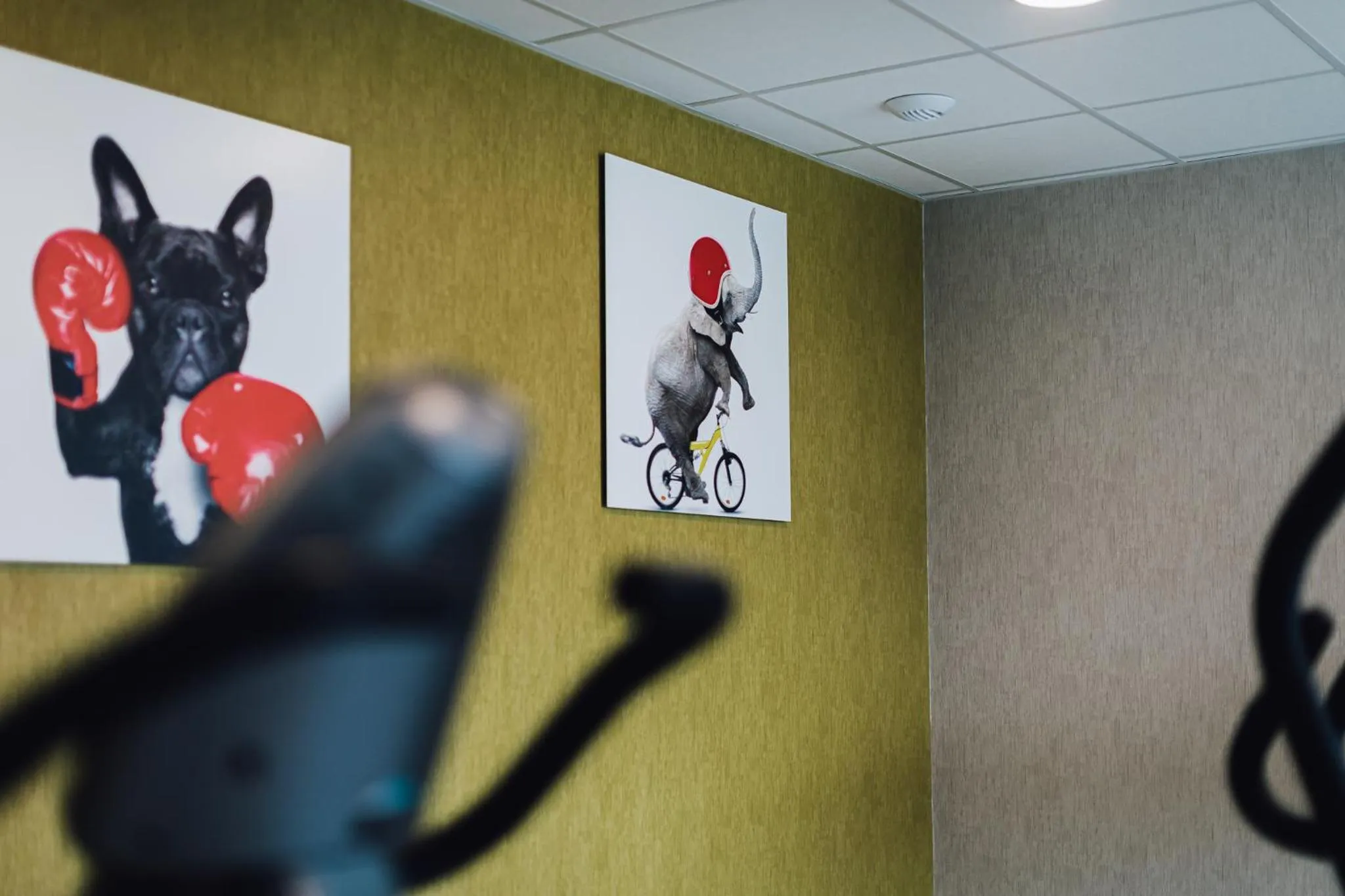 Fitness centre/facilities in ibis Styles Contres-Cheverny