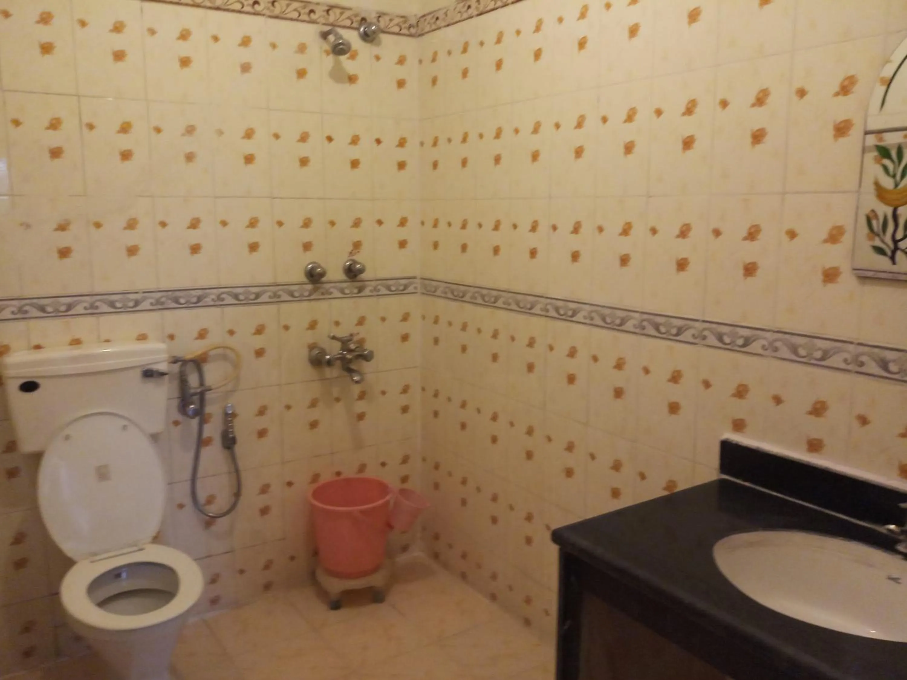 Other in Hotel Shekhawati, A boutique stay