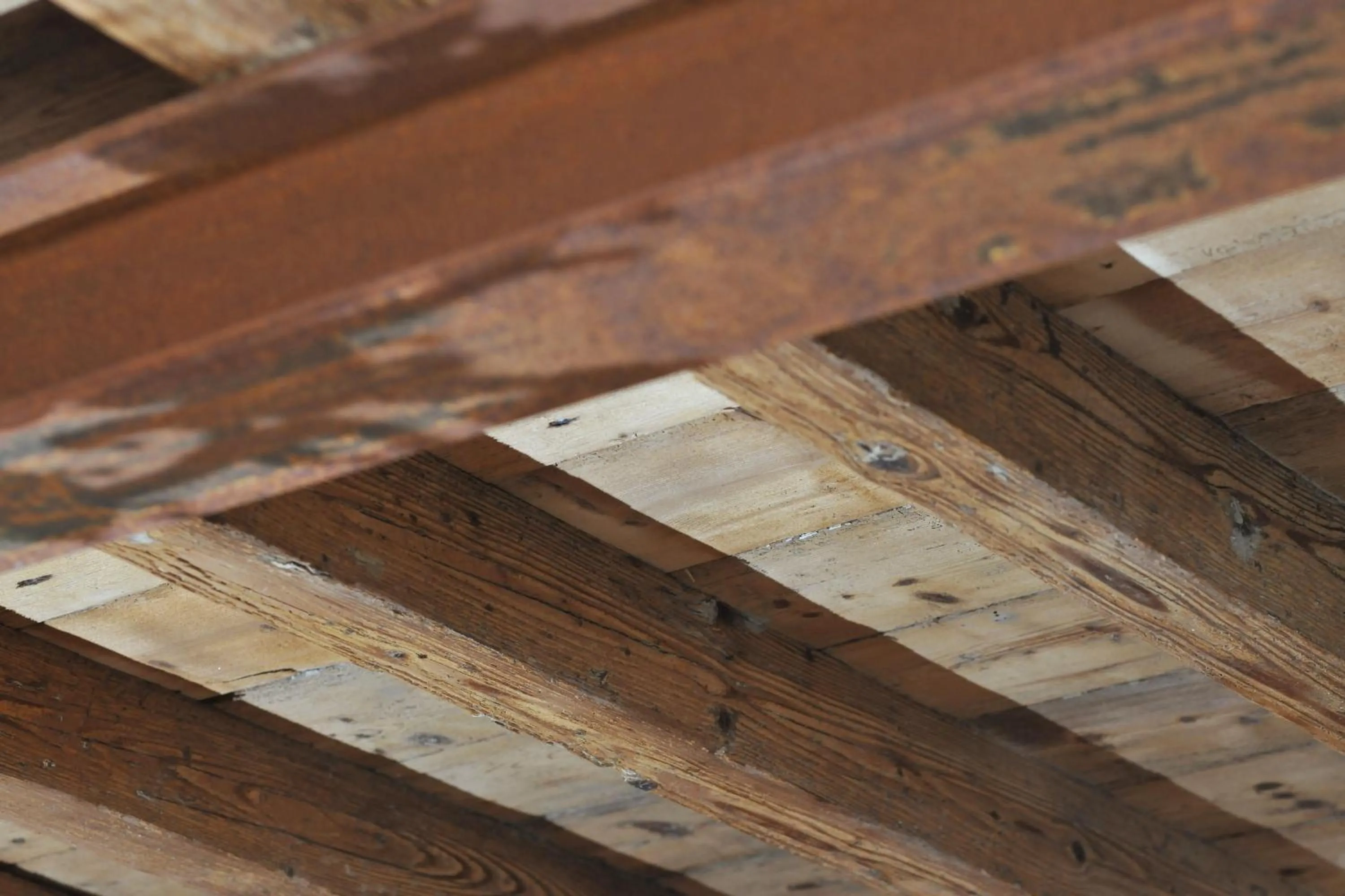 Photo of the whole room in Casa Lumaca