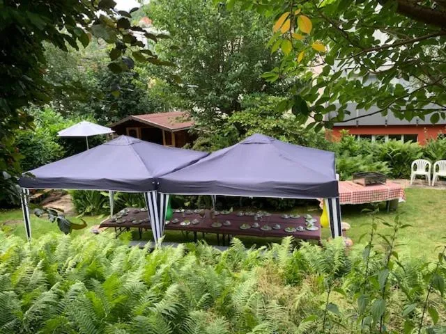 Garden in Hotel Sonnenhof