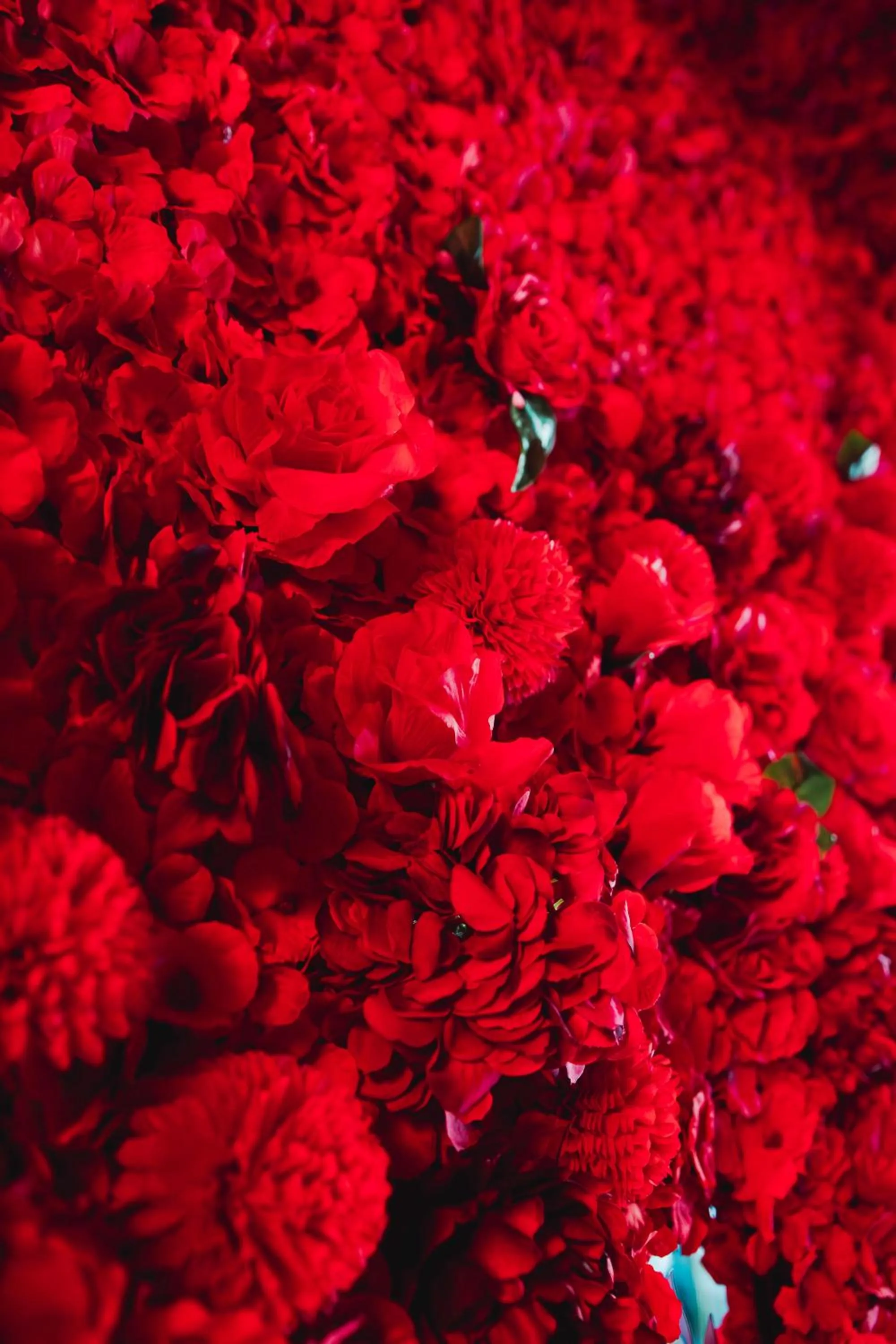 Lounge or bar in Virgin Hotels New Orleans