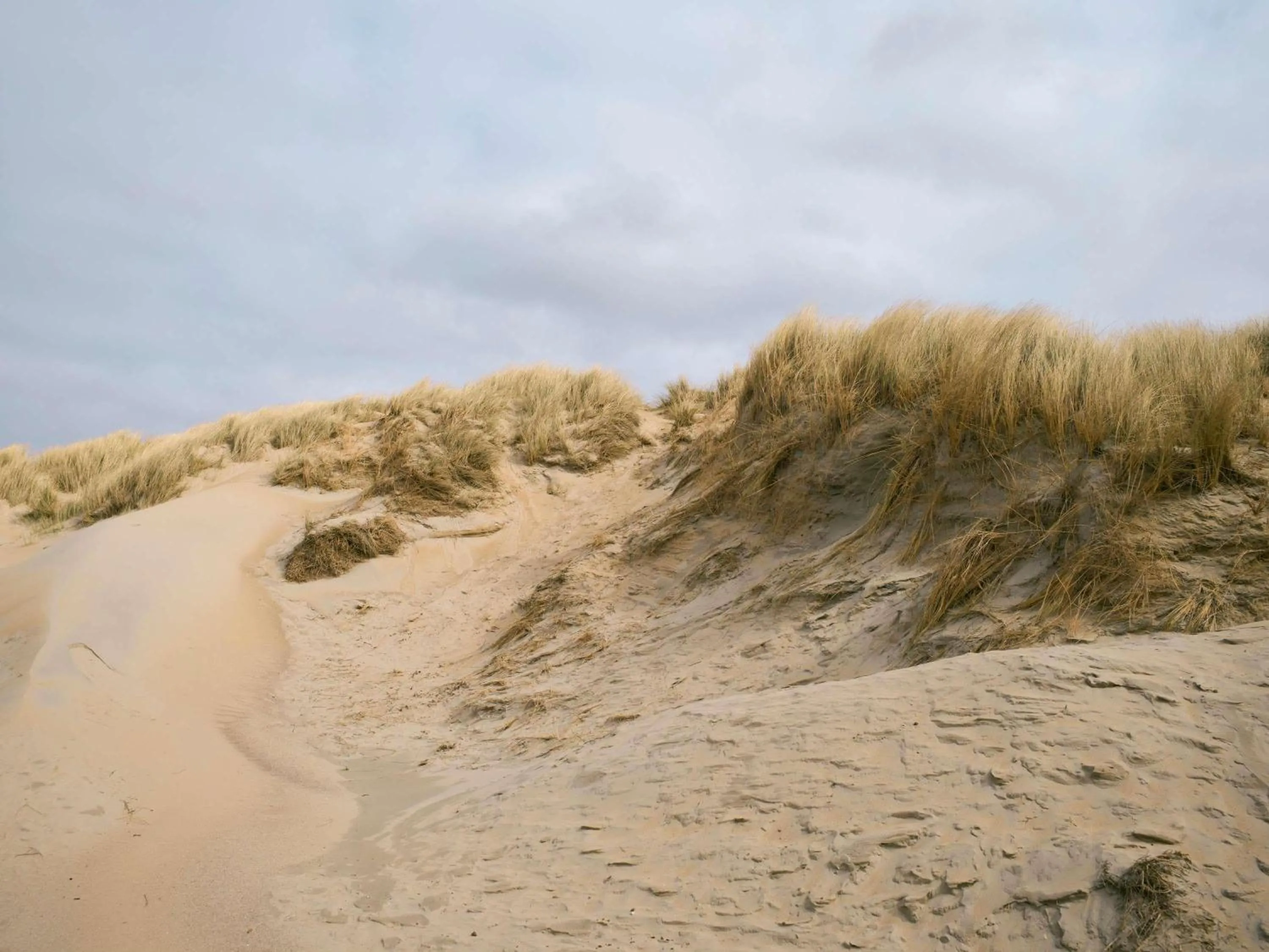 Property building in Hotel Ter Zand - Handwritten Collection