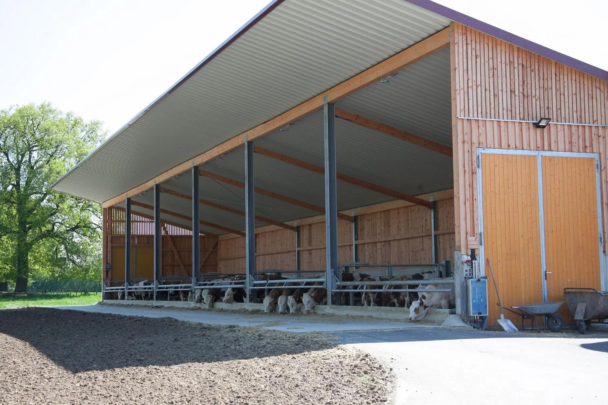 Property building in Bettmann regional Einkaufen & Bauernhofurlaub