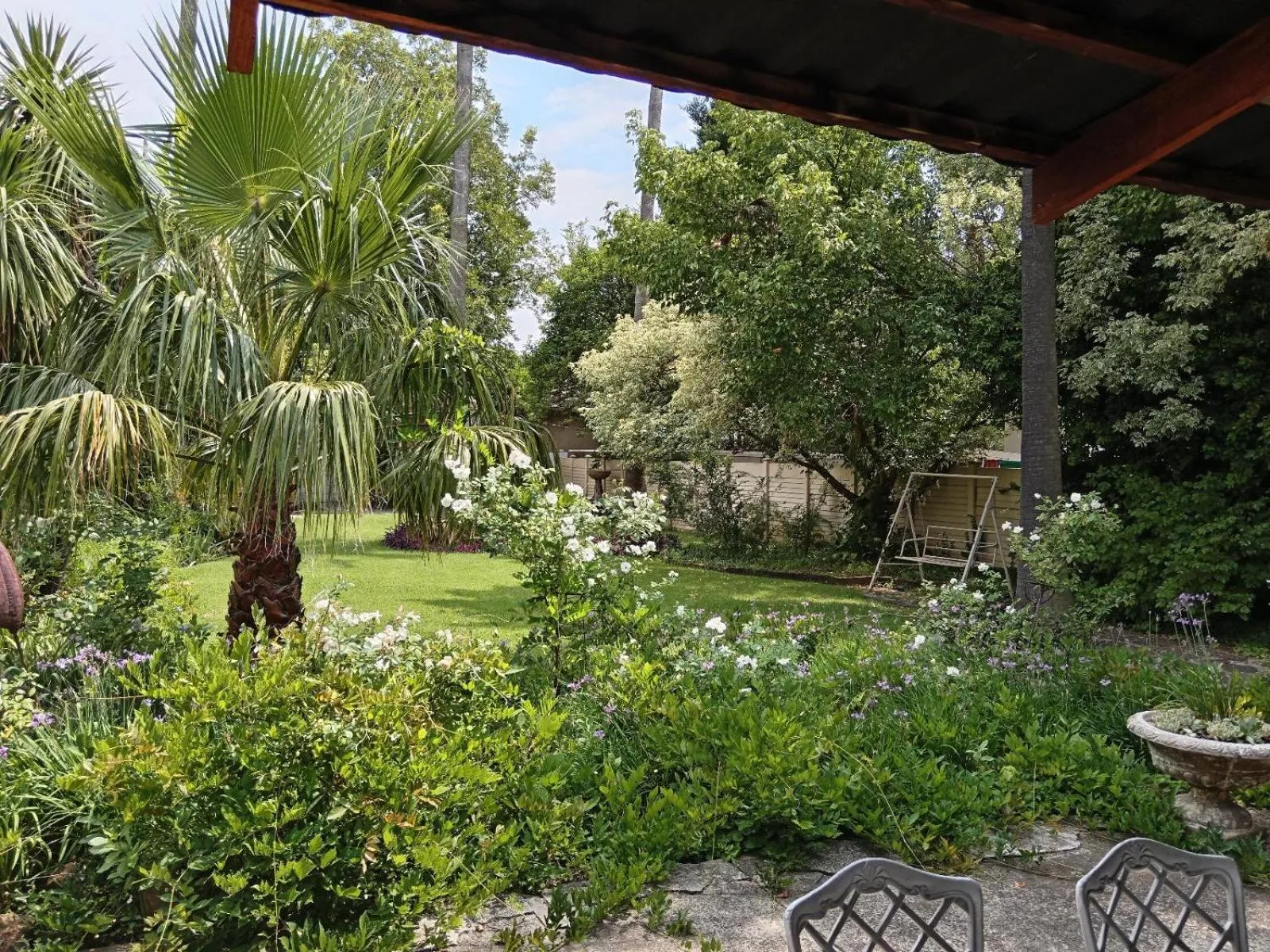 Garden view in Palms Lodge