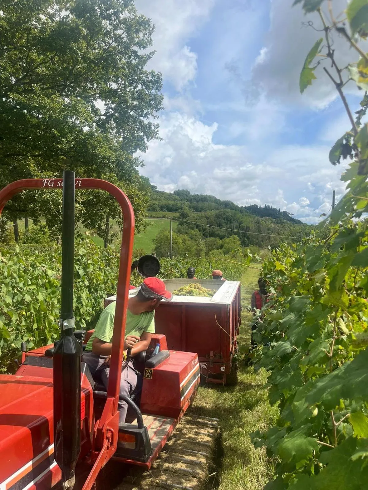 Activities in Tenuta Sovestro - Agriturismo e winery