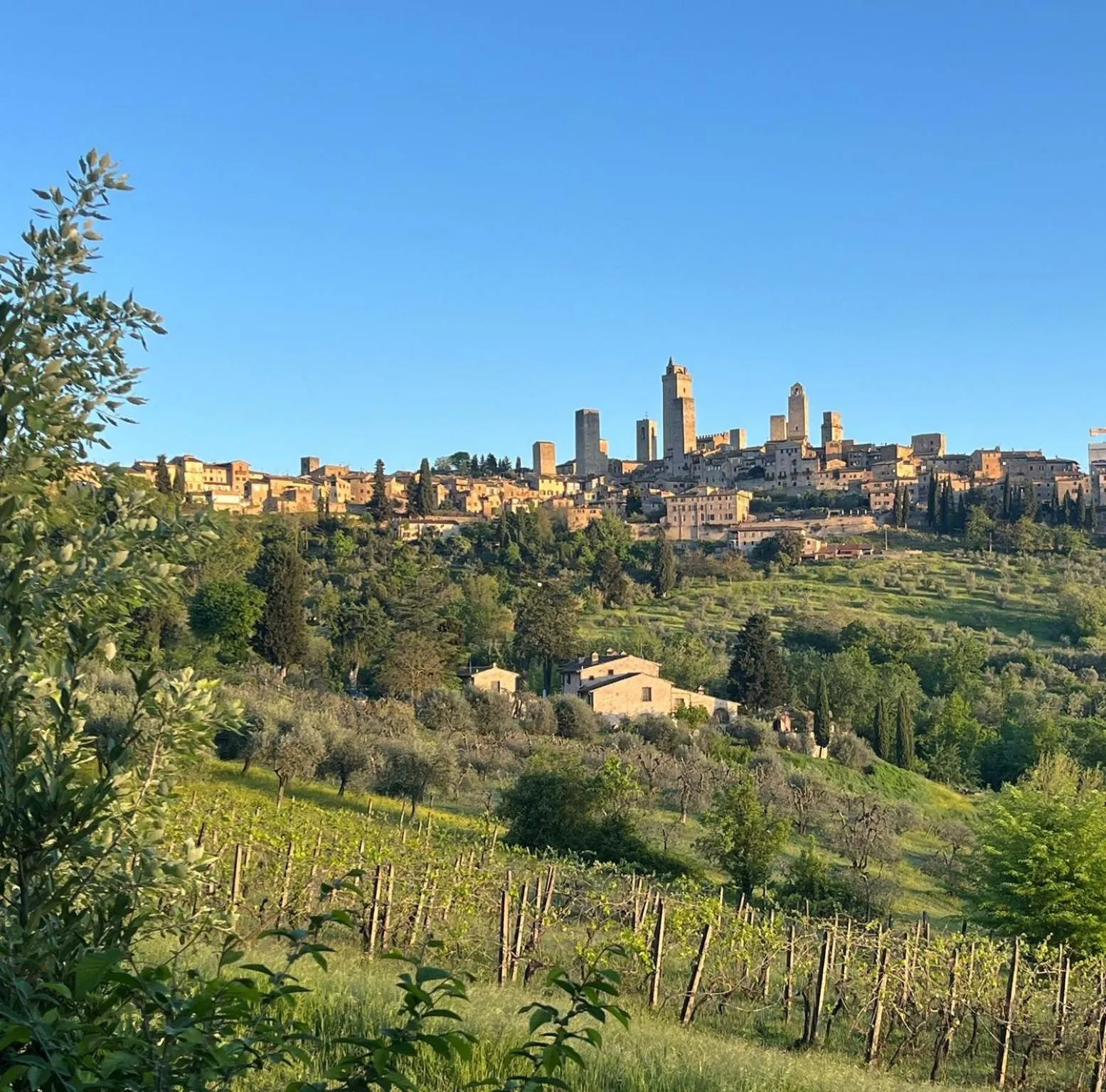 Activities in Tenuta Sovestro - Agriturismo e winery