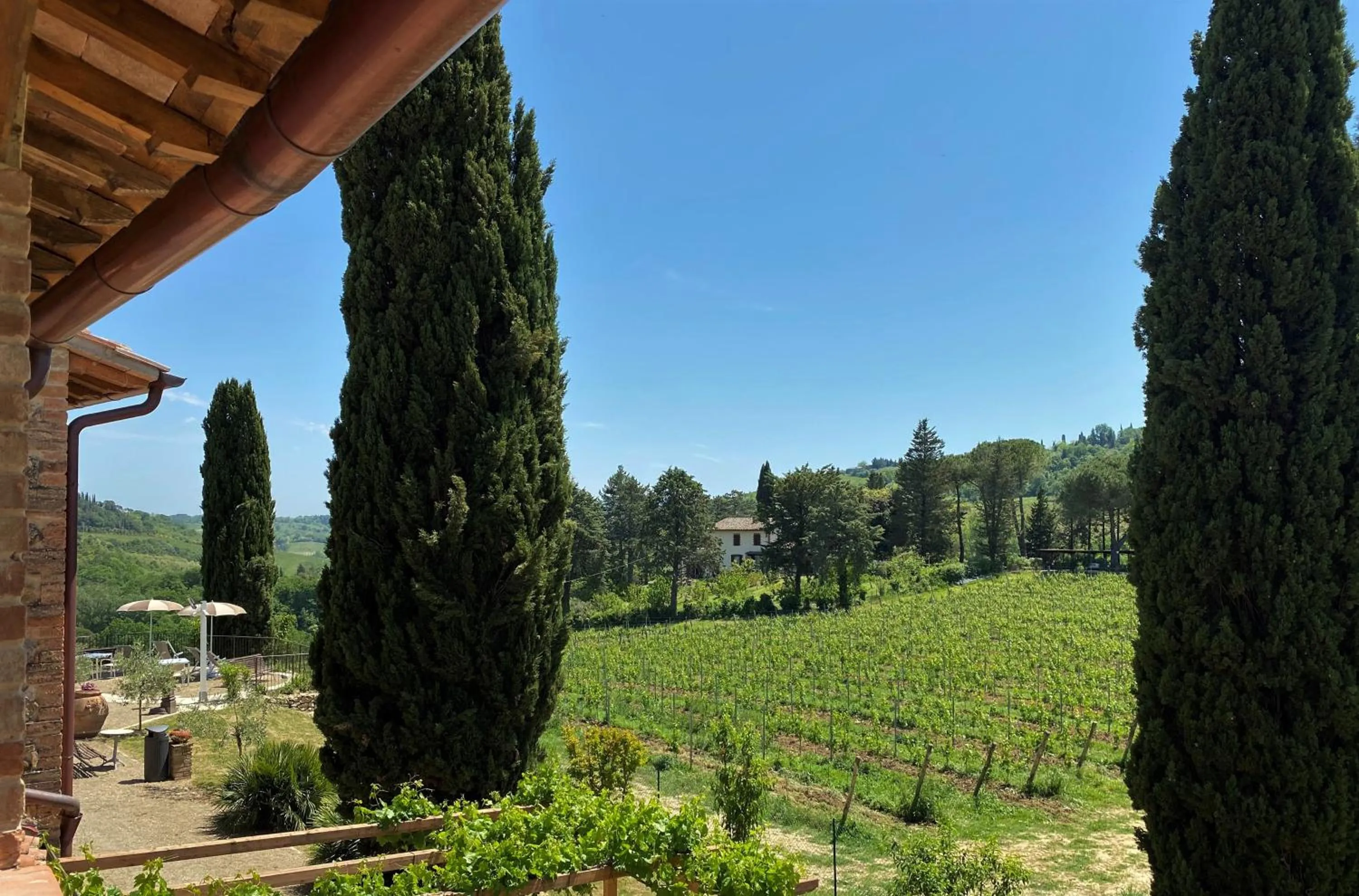 View (from property/room) in Tenuta Sovestro - Agriturismo e winery