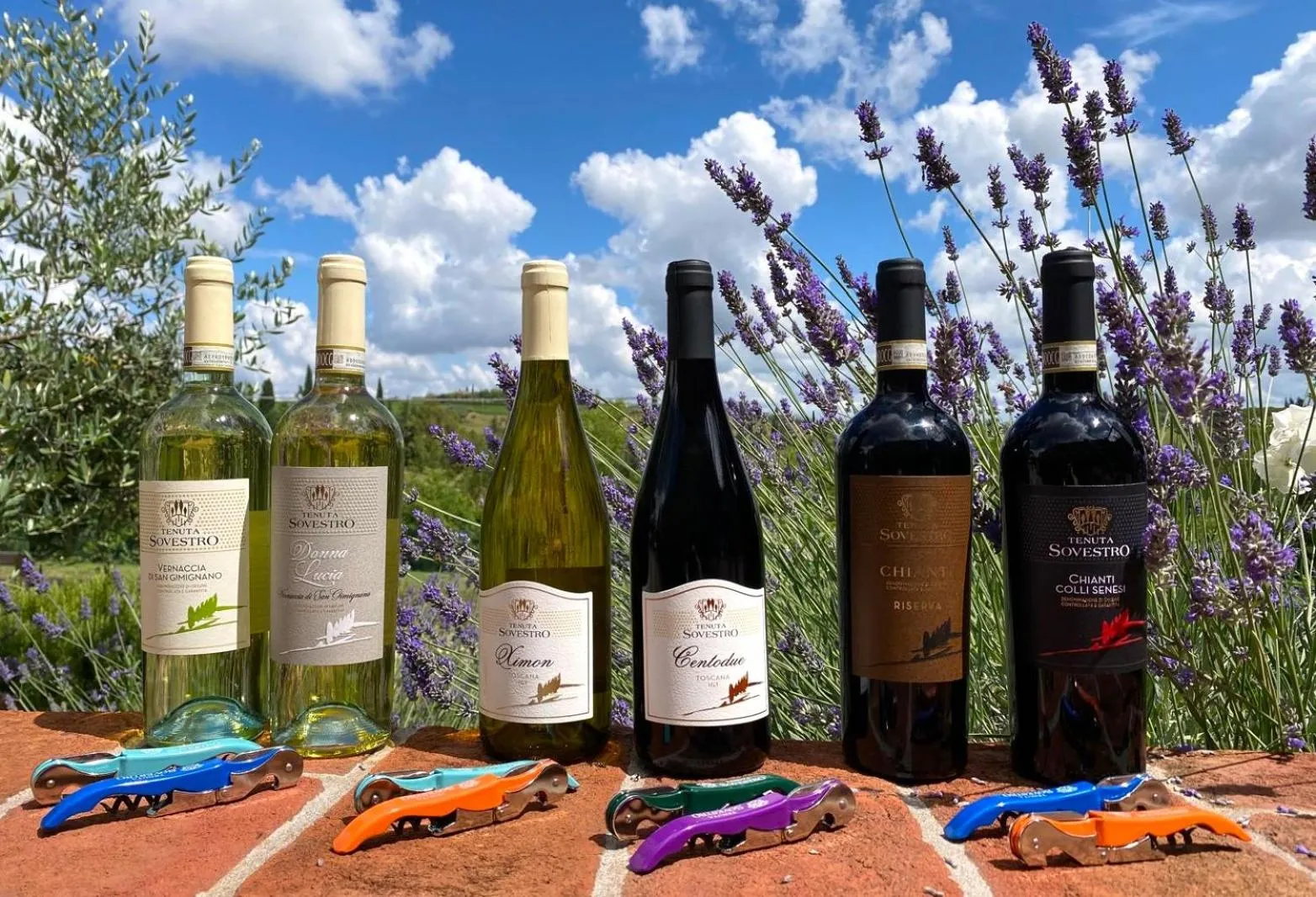 Drinks in Tenuta Sovestro - Agriturismo e winery