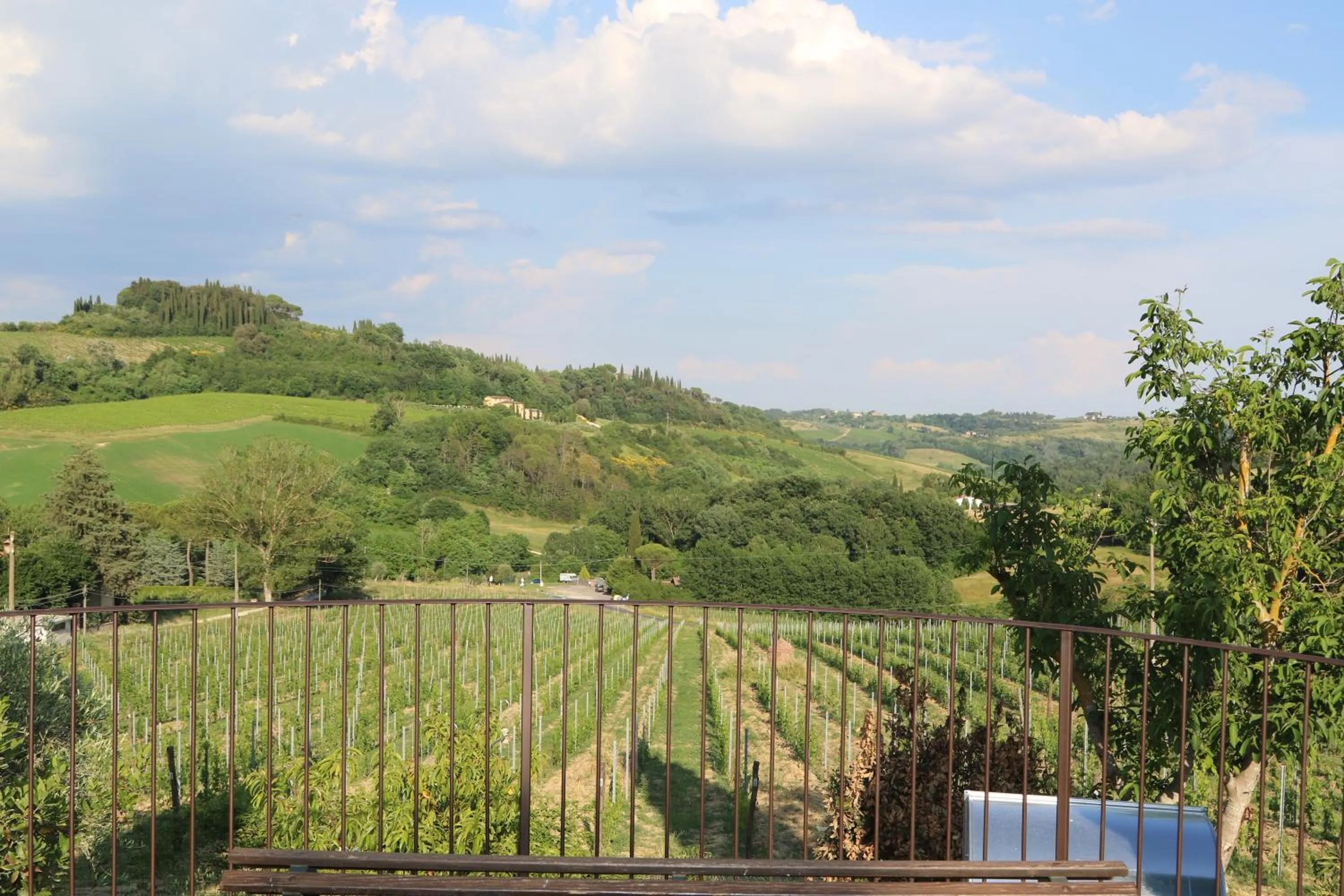 Balcony/Terrace in Tenuta Sovestro - Agriturismo e winery