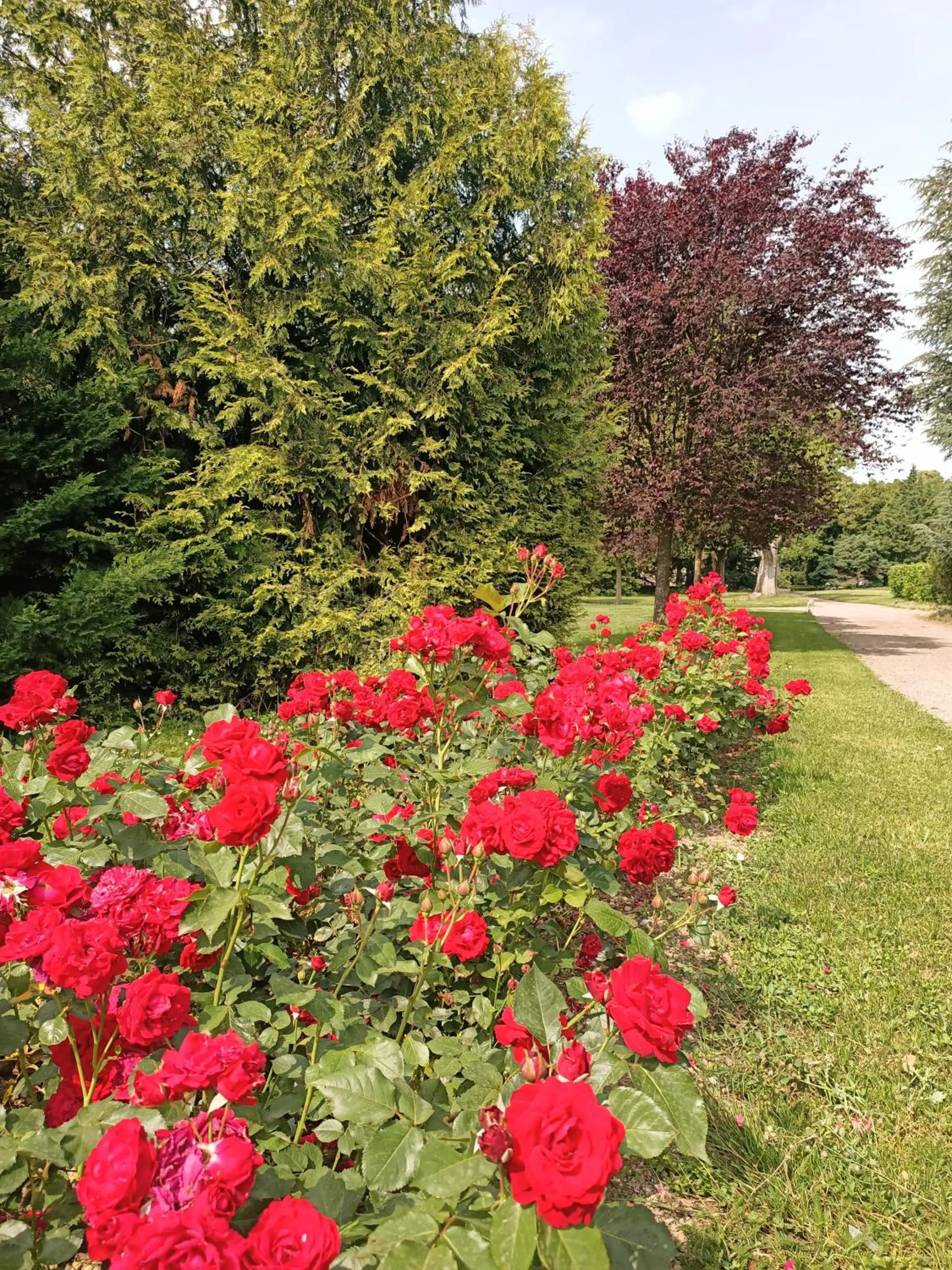 Garden in Domaine du Perrier