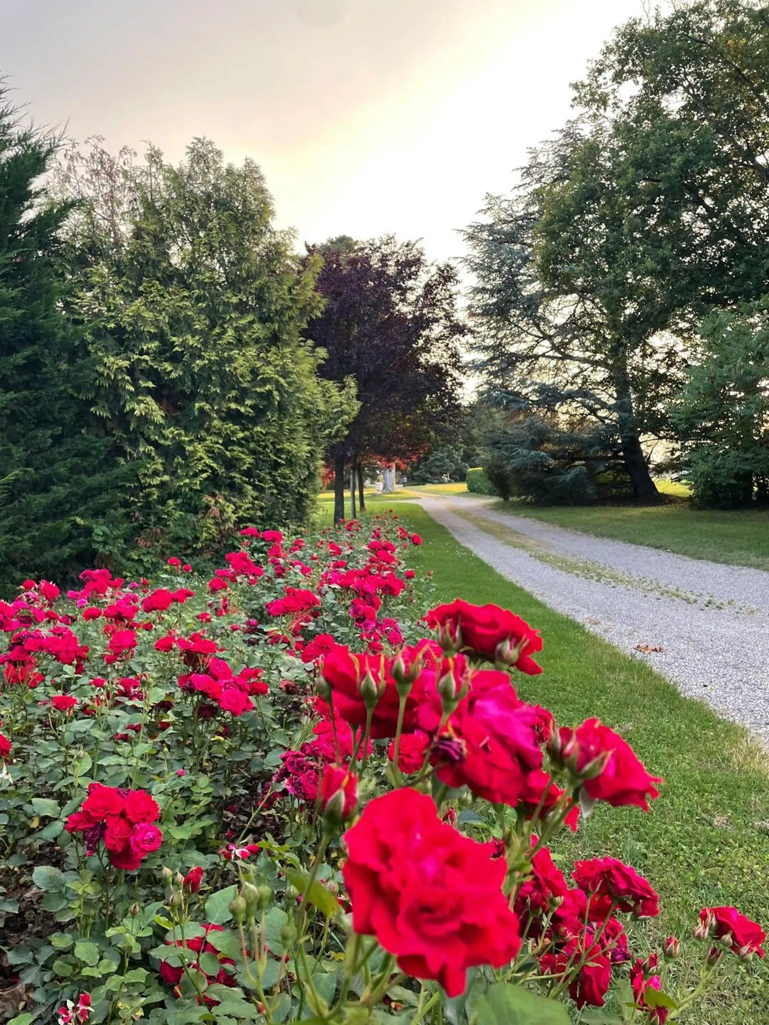 Garden in Domaine du Perrier