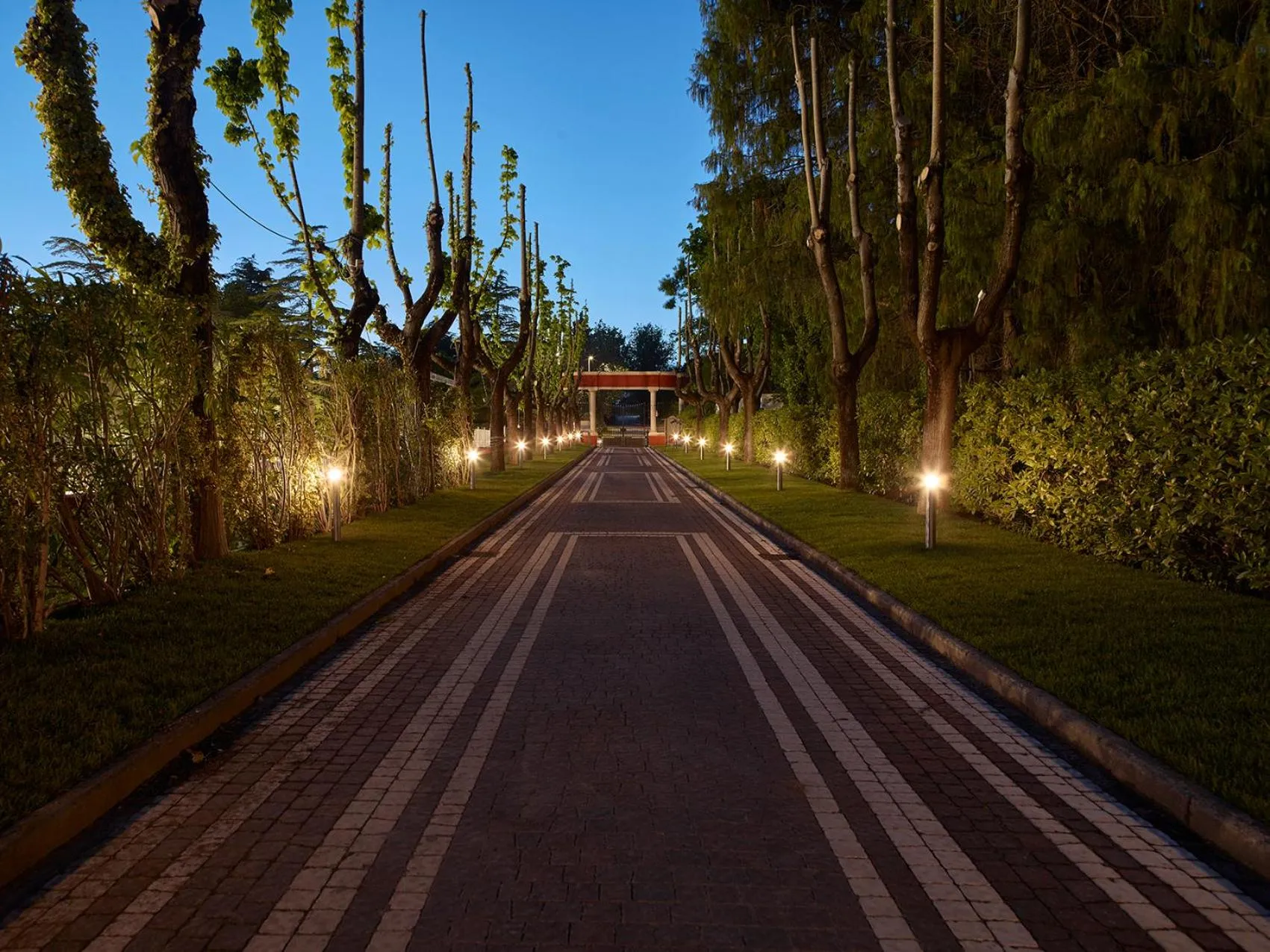 Garden in Hotel Niccolo' V - Terme dei Papi