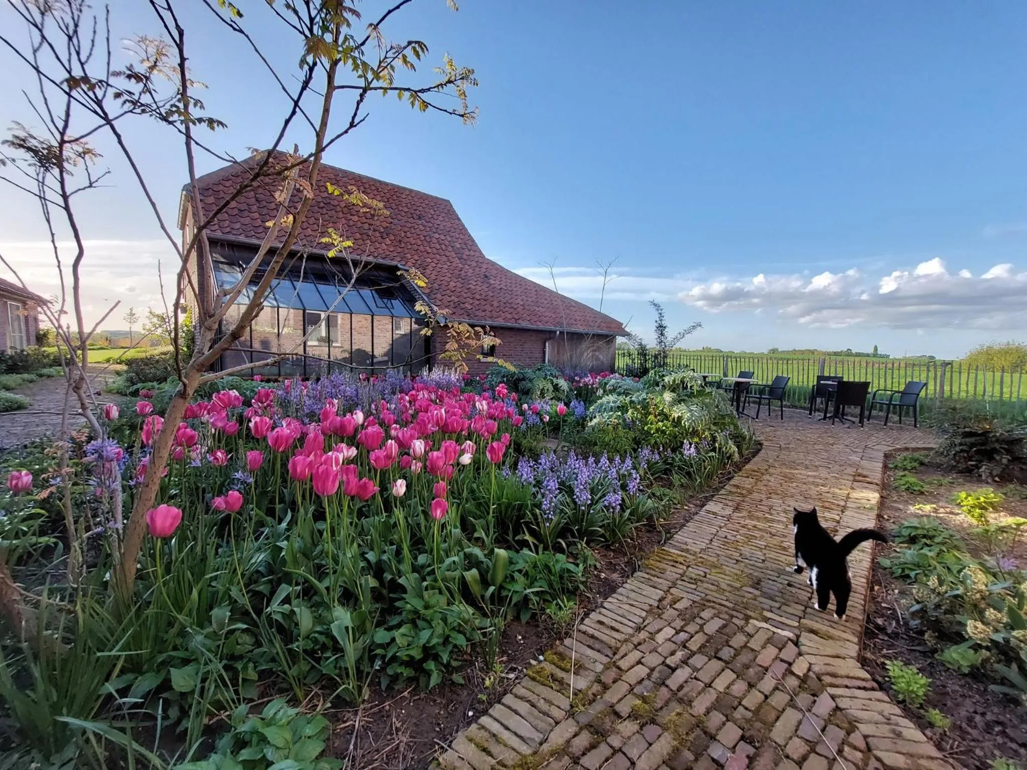Balcony/Terrace in B&B Stefans Pottery