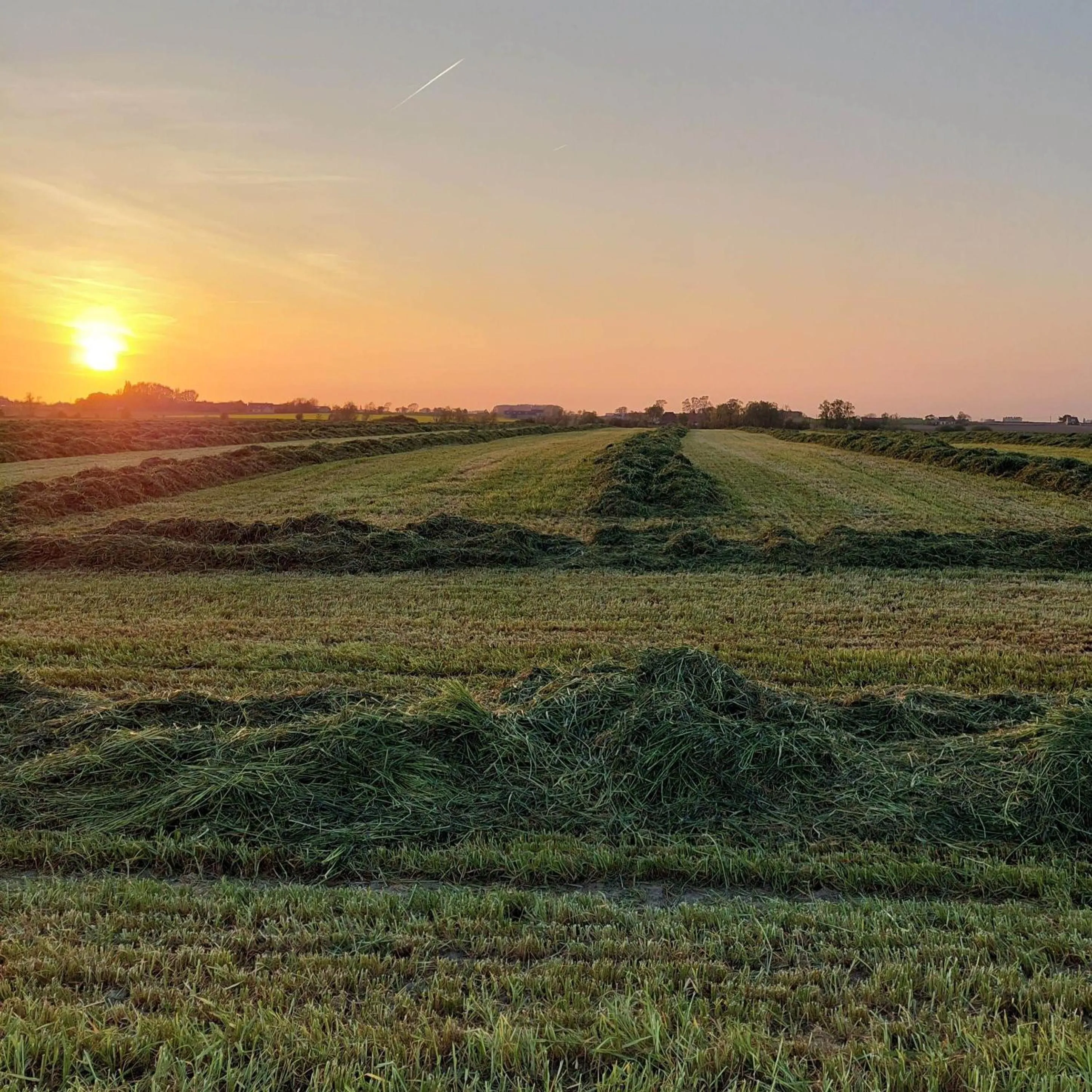 Sunset in B&B Stefans Pottery