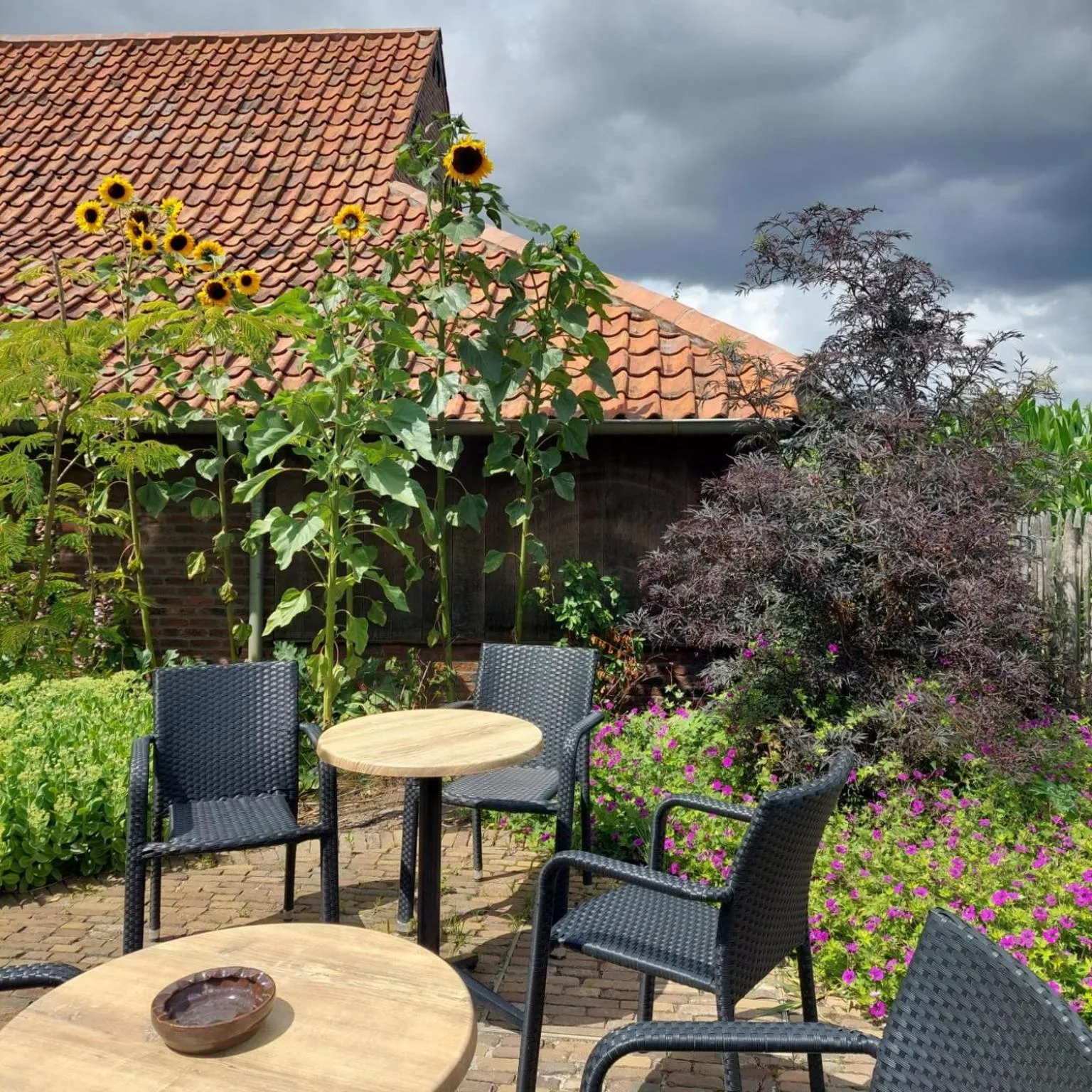 Balcony/Terrace in B&B Stefans Pottery