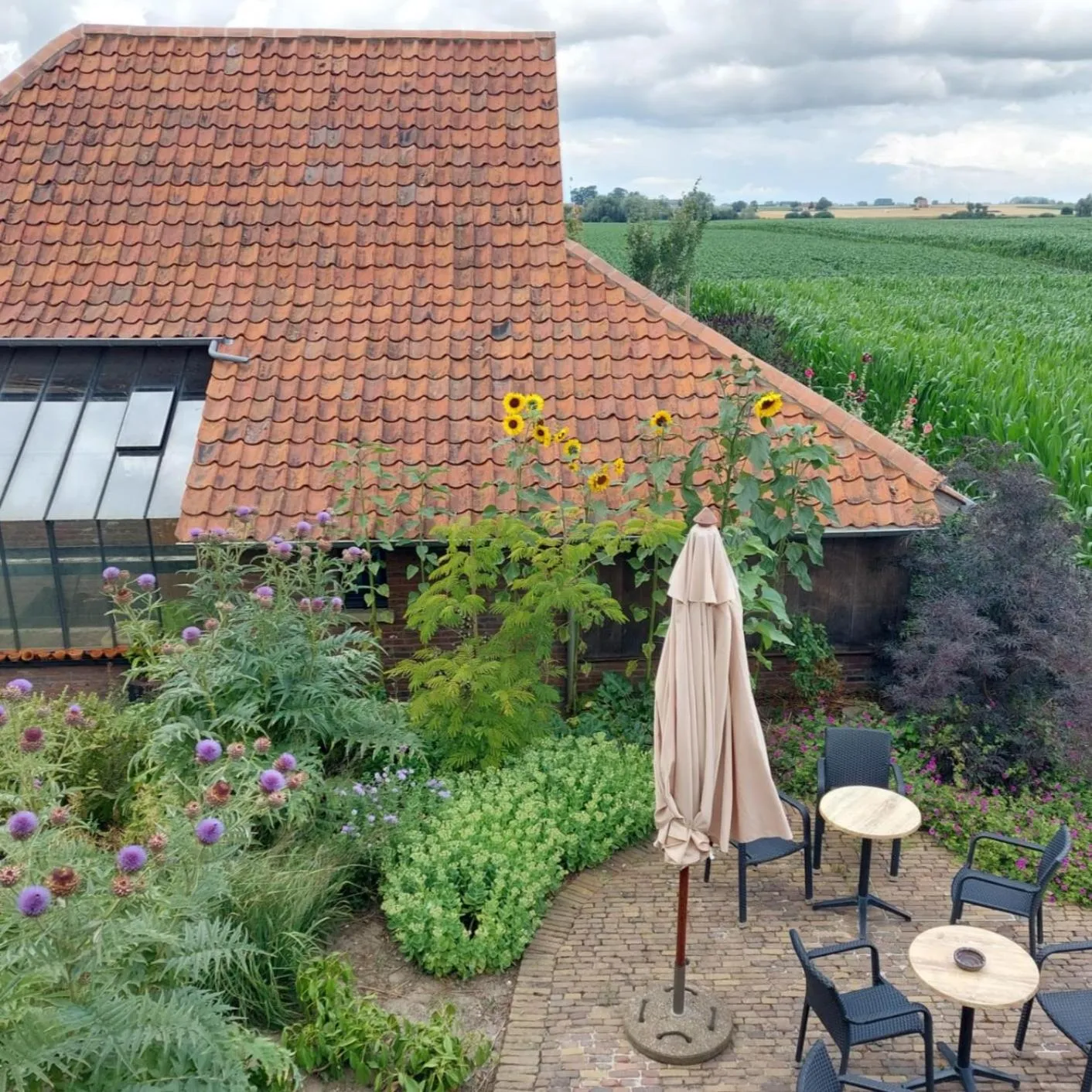 View (from property/room) in B&B Stefans Pottery