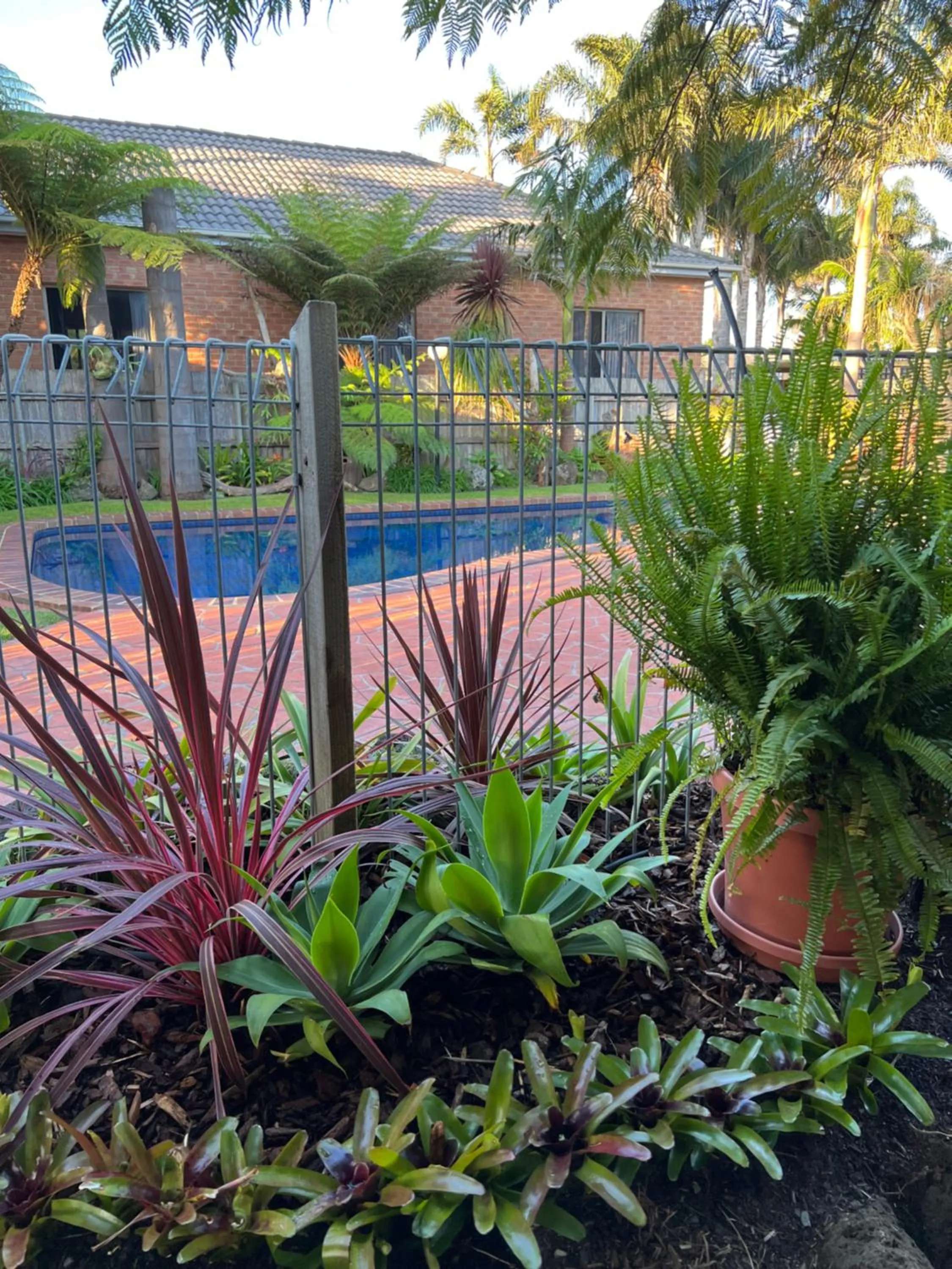 Garden in Coastal Waters Motor Inn