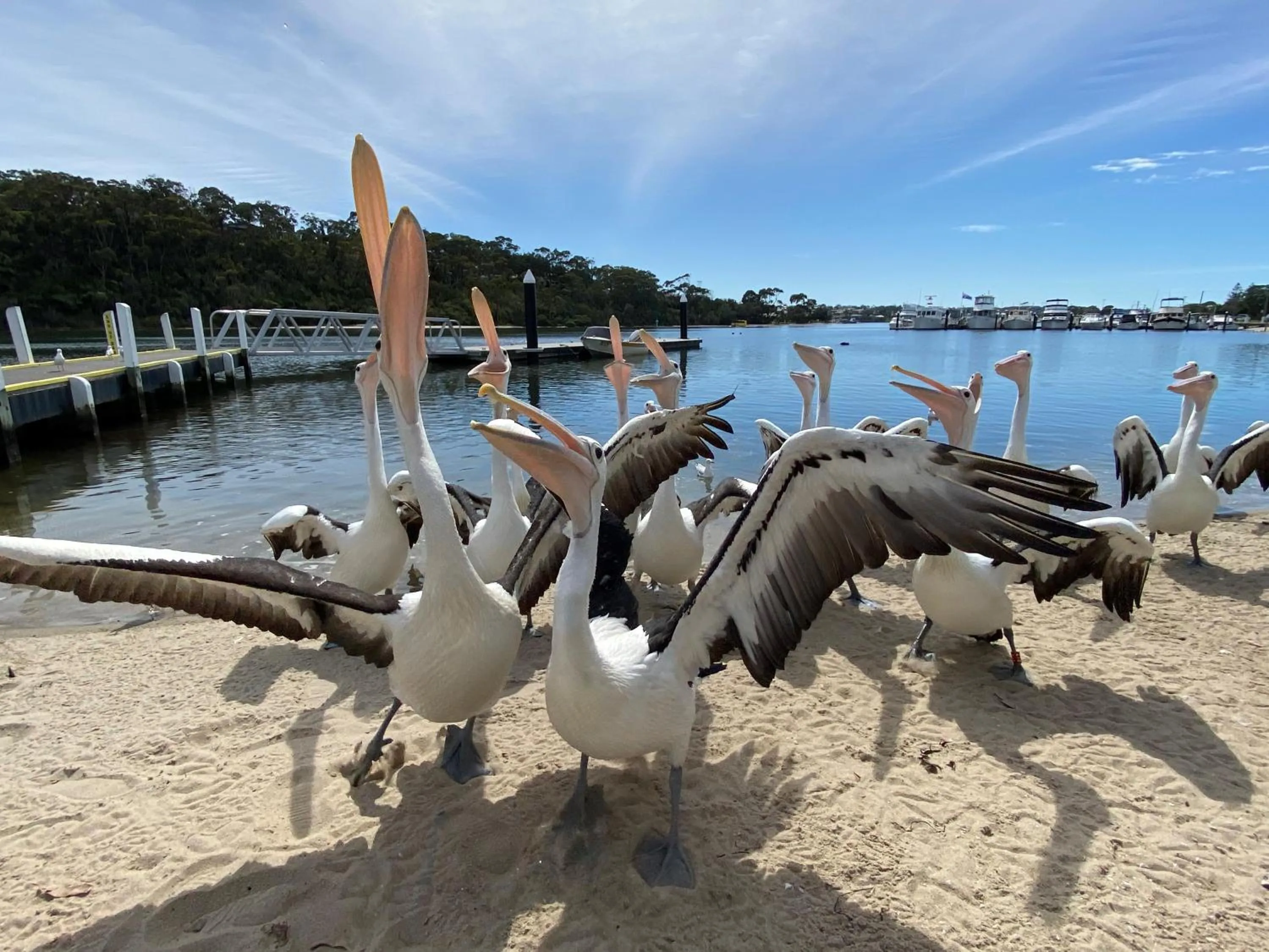 Nearby landmark in Coastal Waters Motor Inn