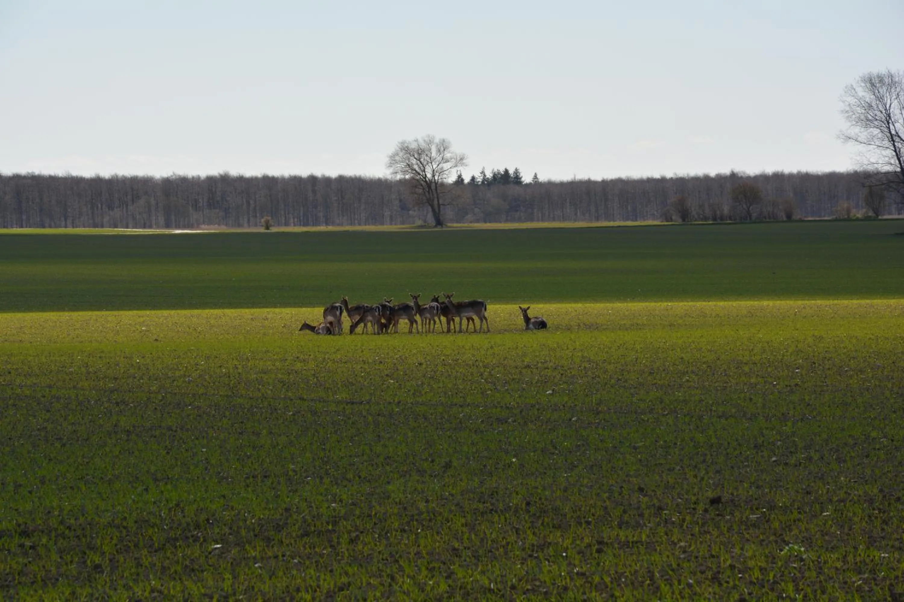 View (from property/room) in KirkeLy Bed and Breakfast