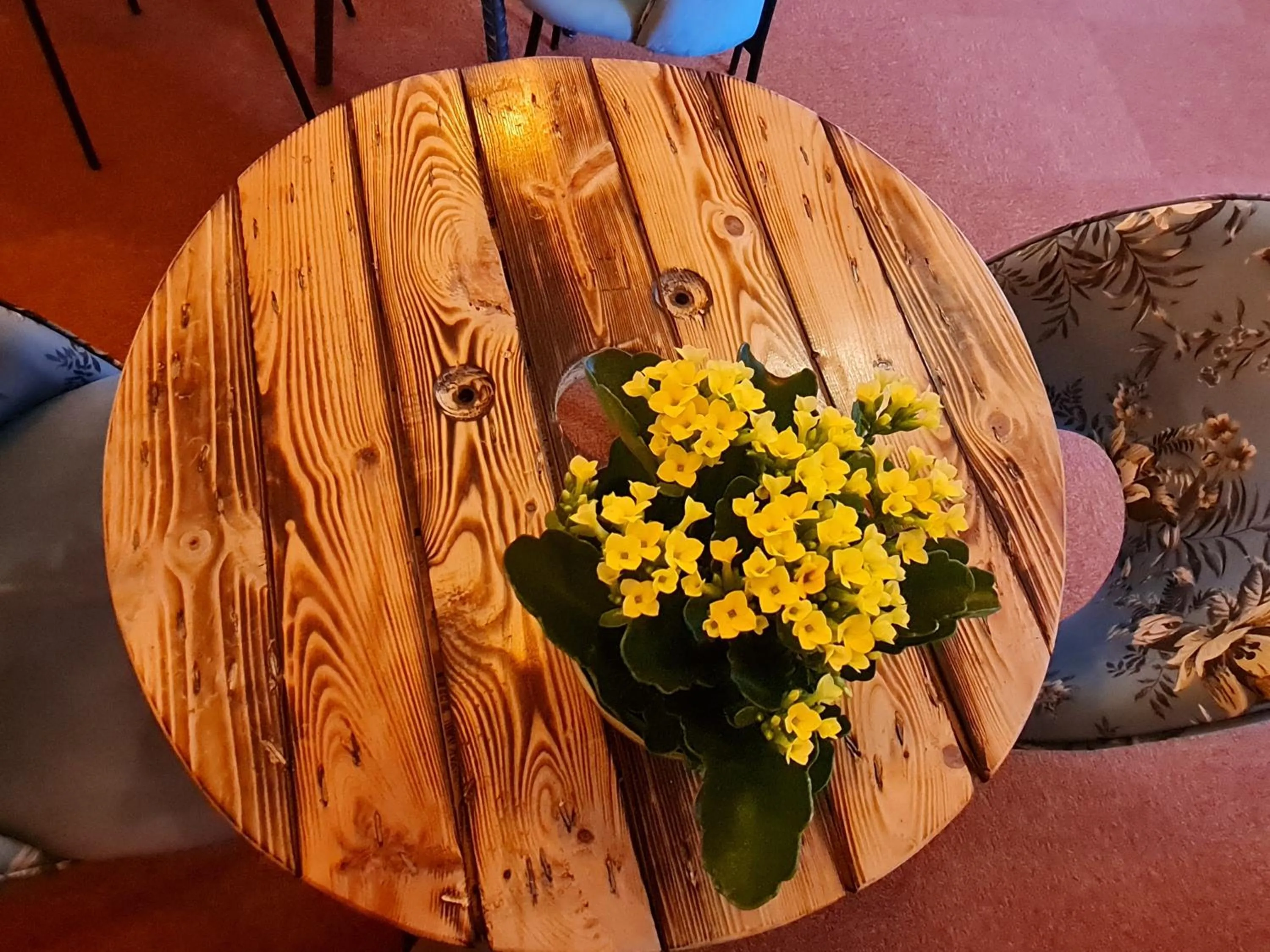Communal kitchen in KirkeLy Bed and Breakfast