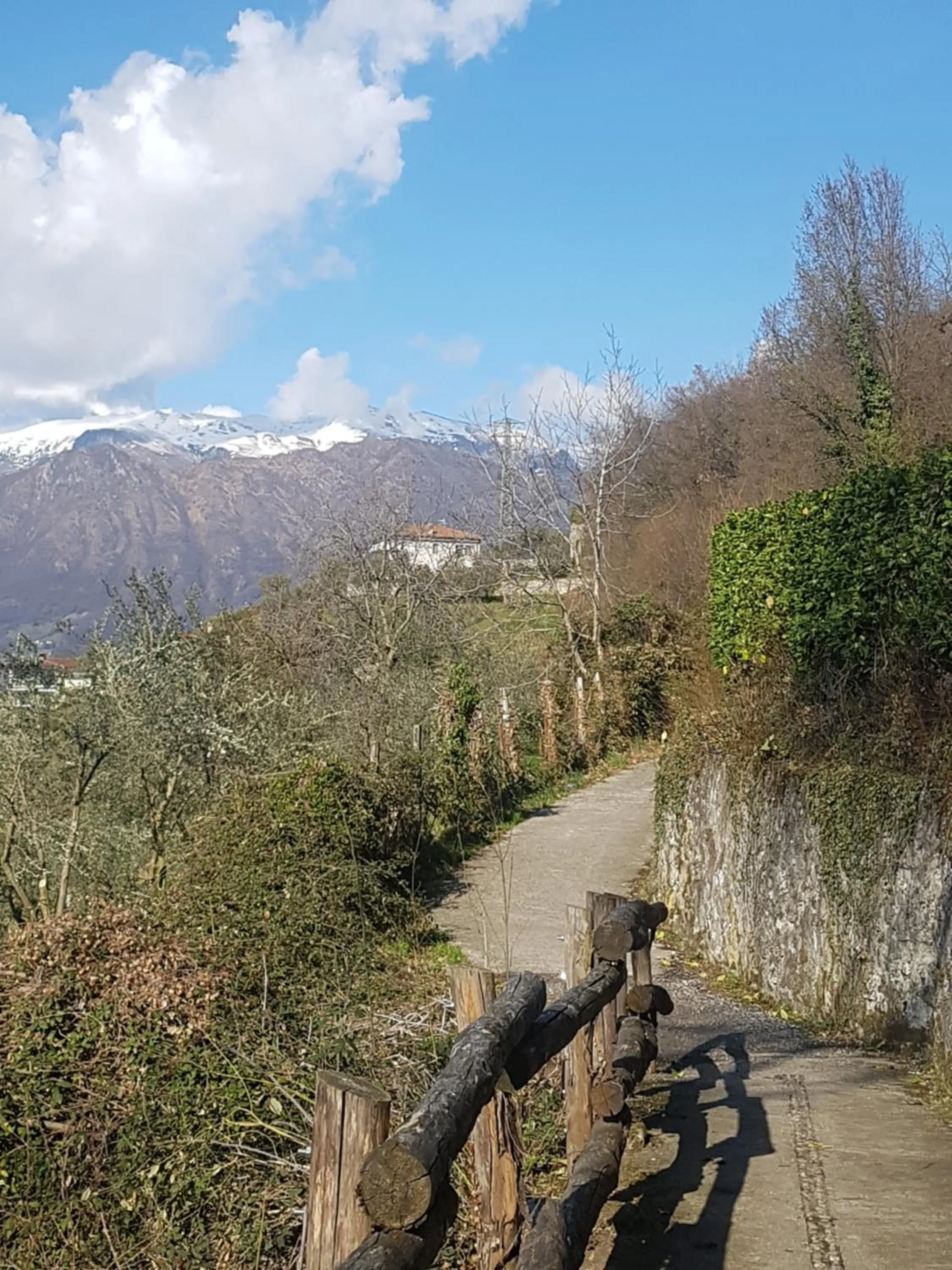 Nearby landmark in B&B ForseSiForseNo