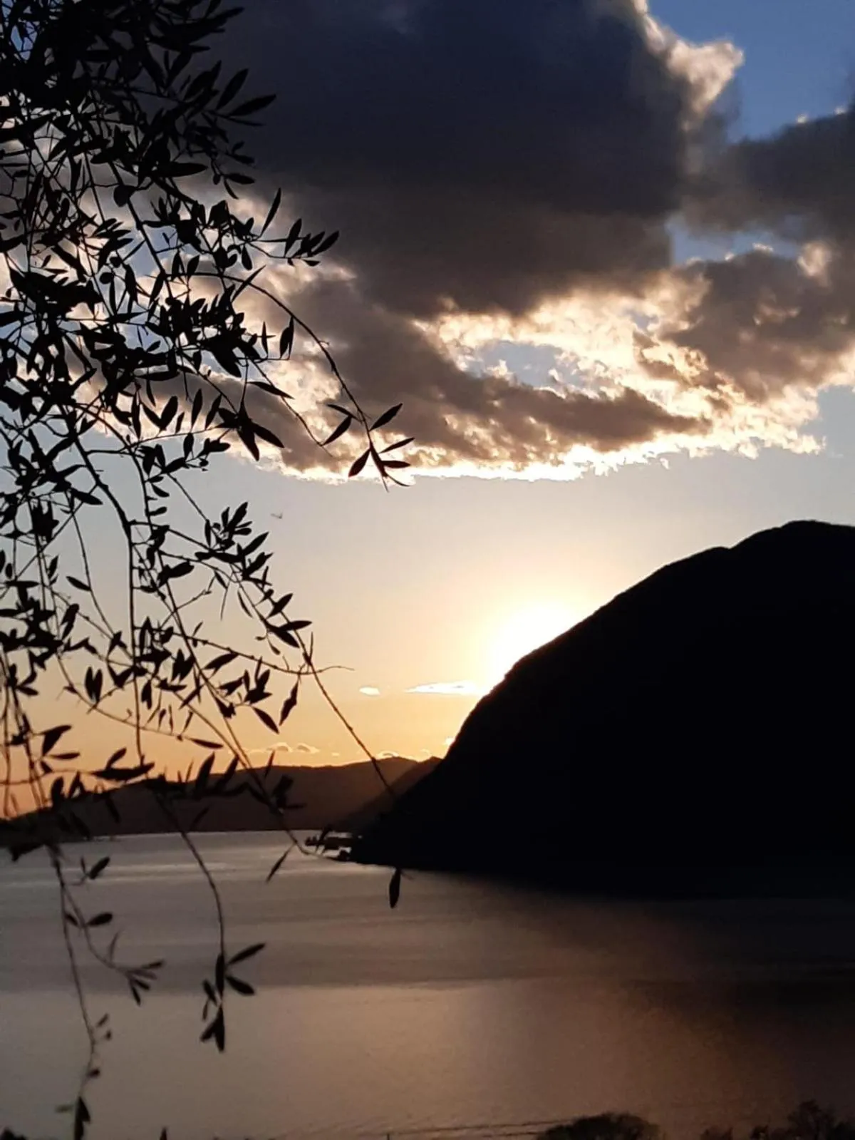 Natural landscape in B&B ForseSiForseNo