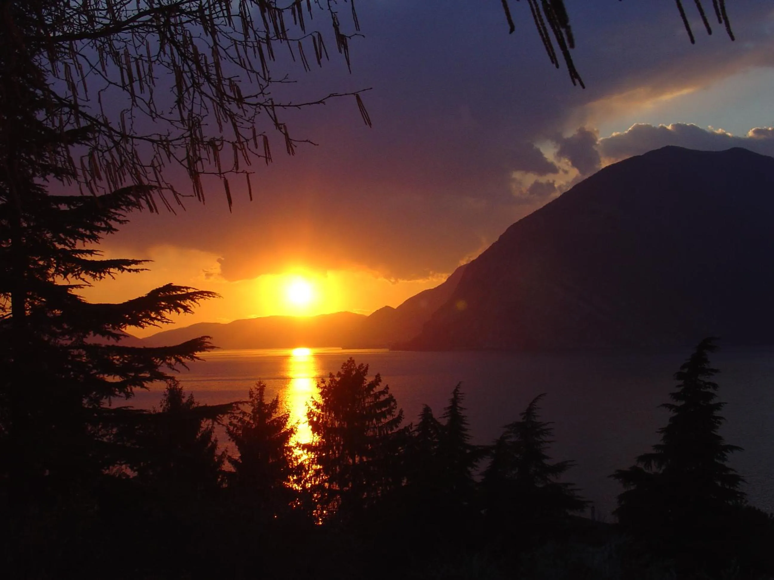 Natural landscape in B&B ForseSiForseNo