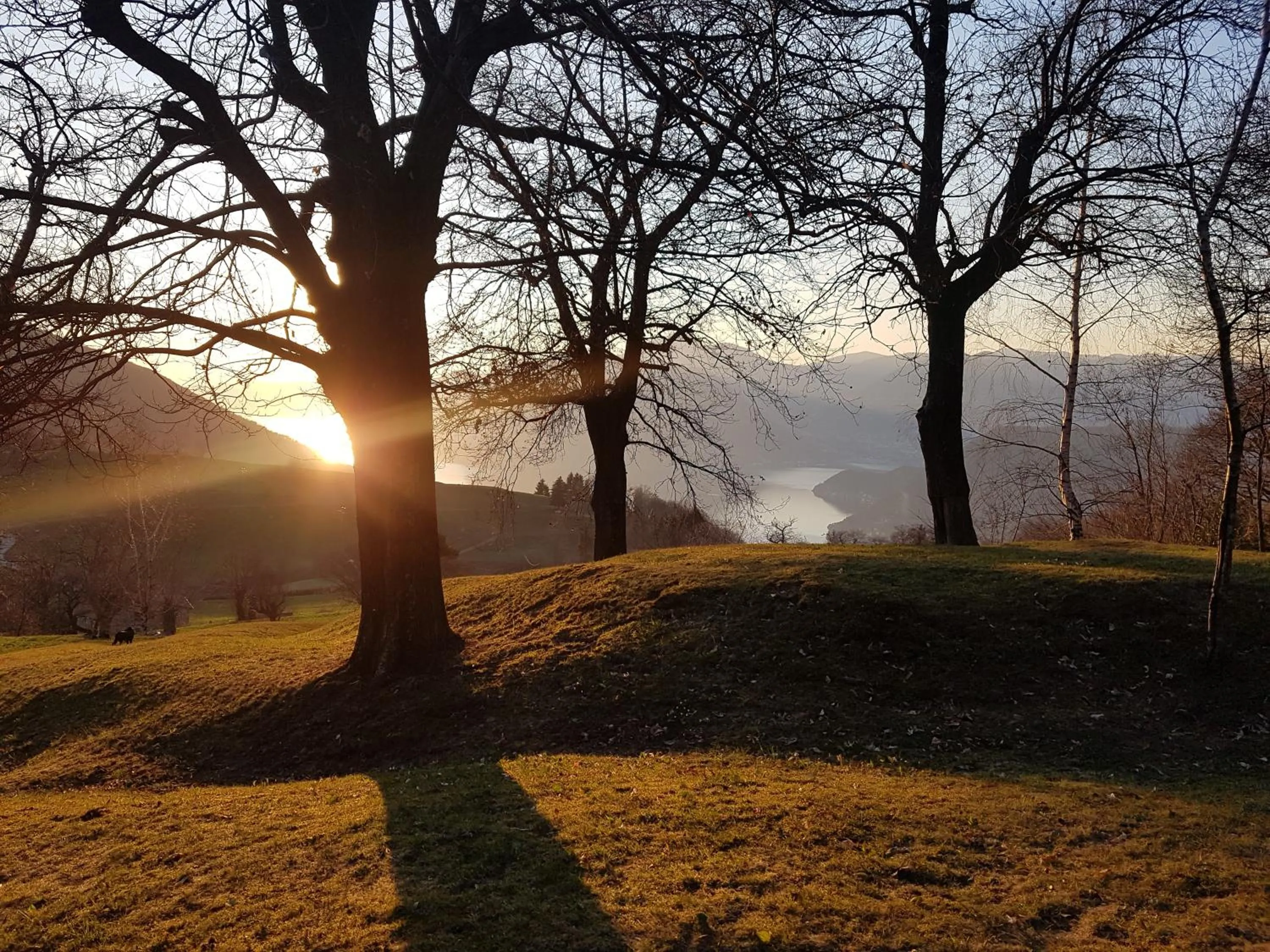 Nearby landmark in B&B ForseSiForseNo