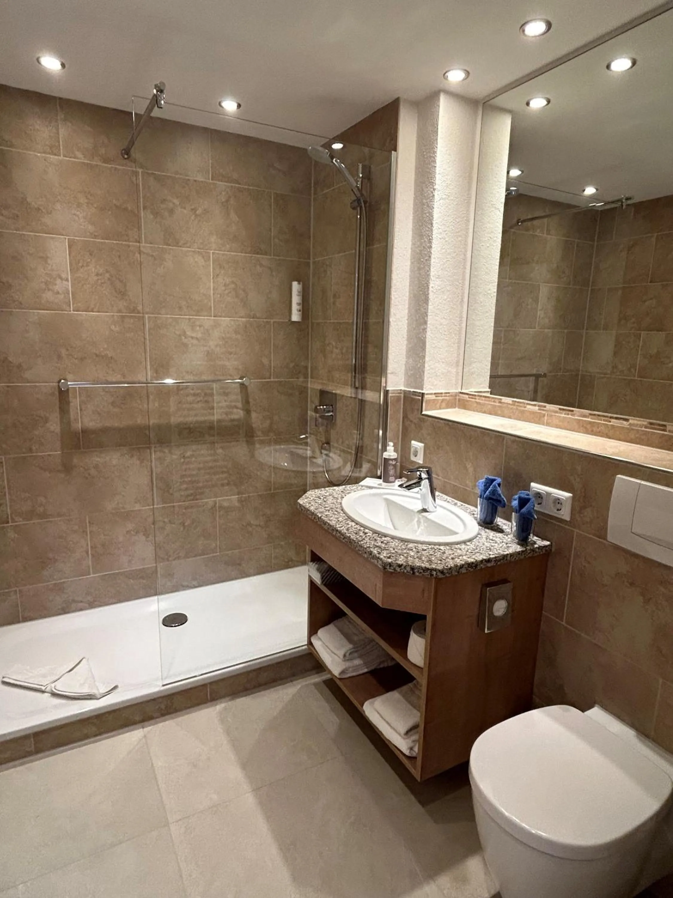 Bathroom in Alpenhof Oberstdorf Hotel & SPA, Signature Collection by BW