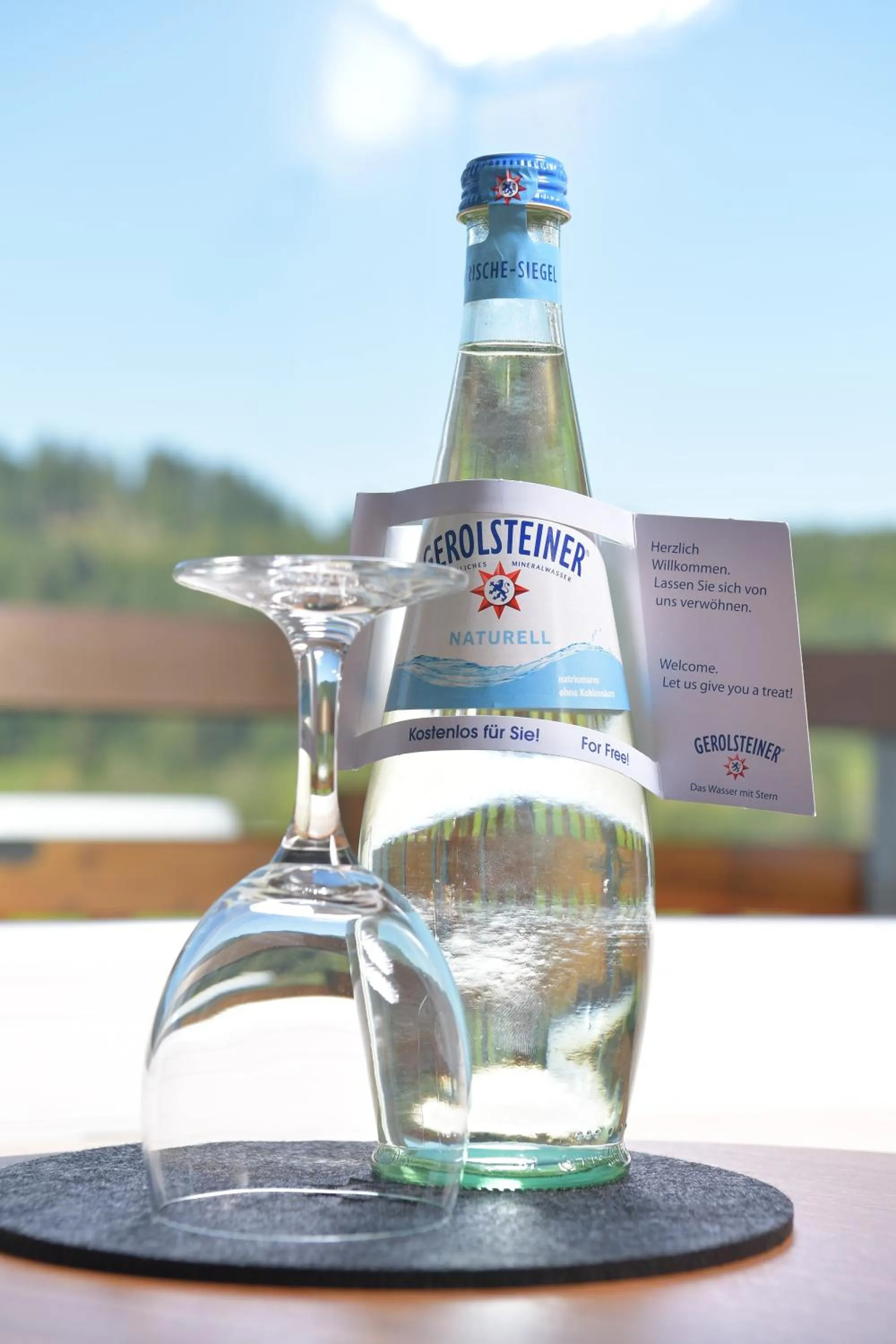 Decorative detail in Alpenhof Oberstdorf Hotel & SPA, Signature Collection by BW