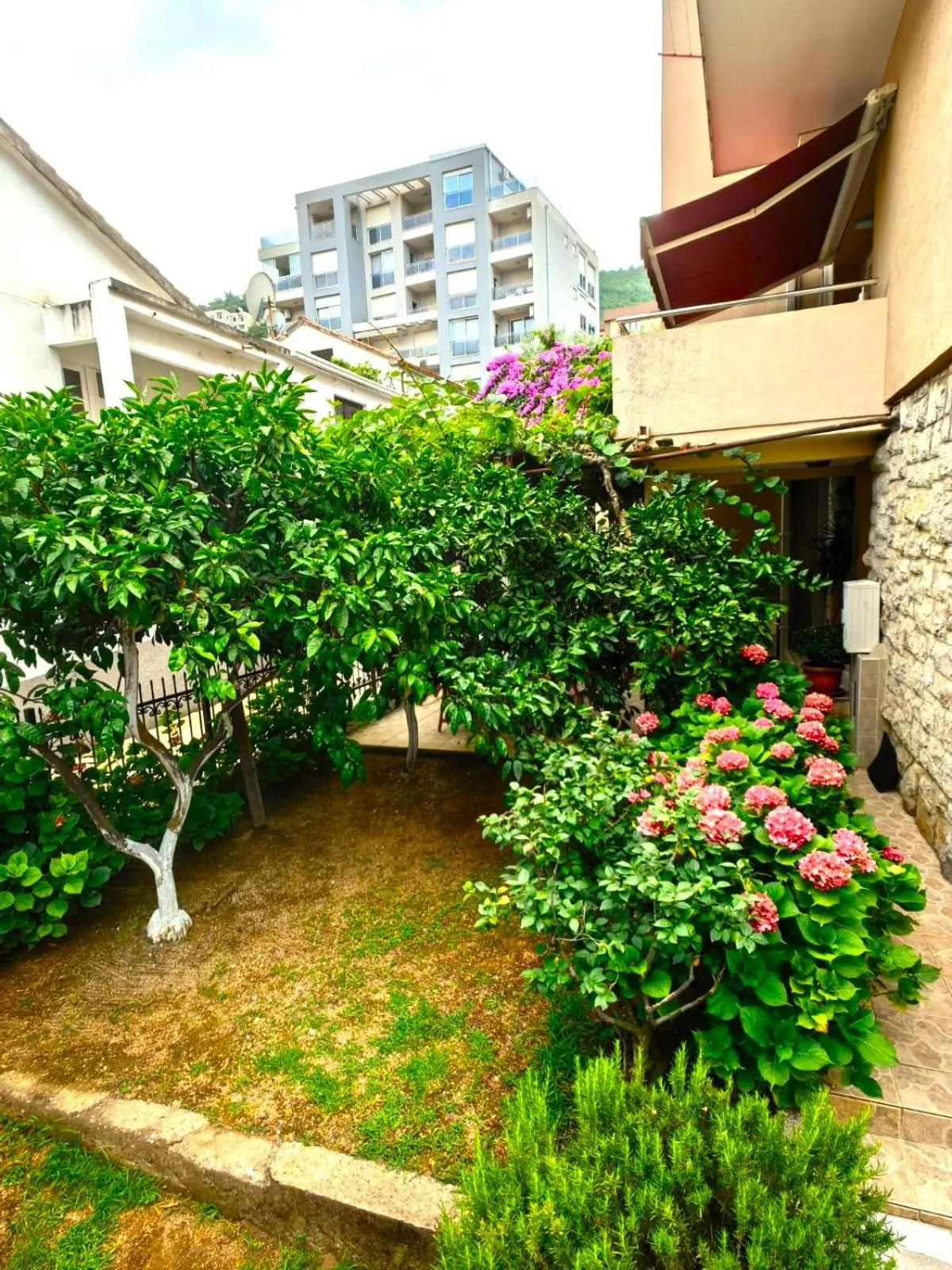 Garden in El Mar Apartments