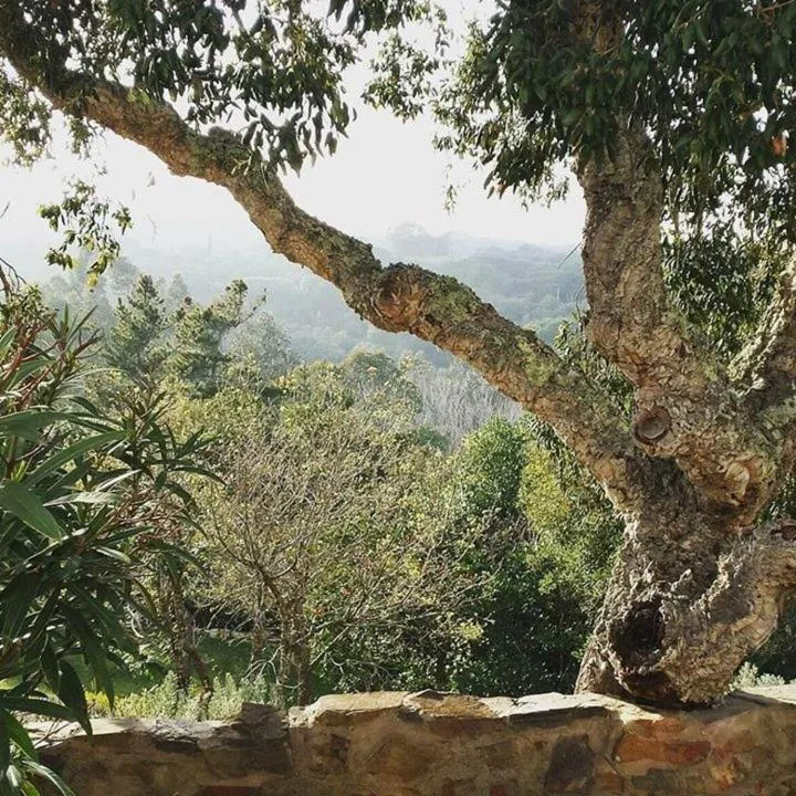 Herdade Quinta Natura Turismo Rural