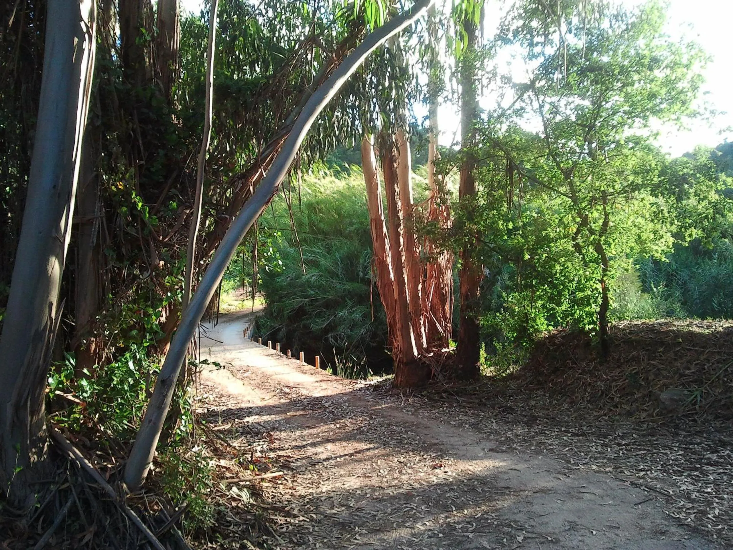 Area and facilities in Herdade Quinta Natura Turismo Rural