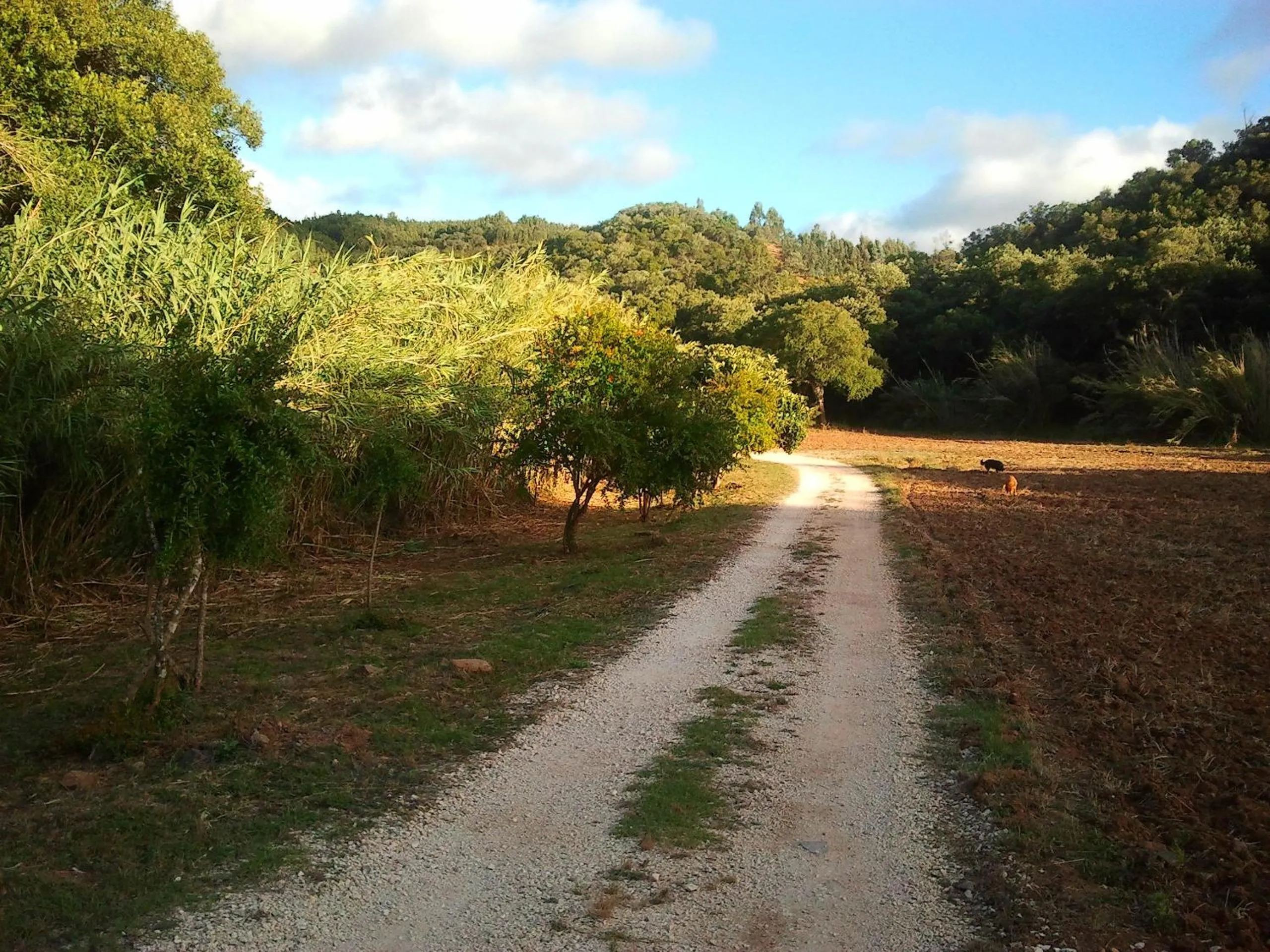 Area and facilities in Herdade Quinta Natura Turismo Rural