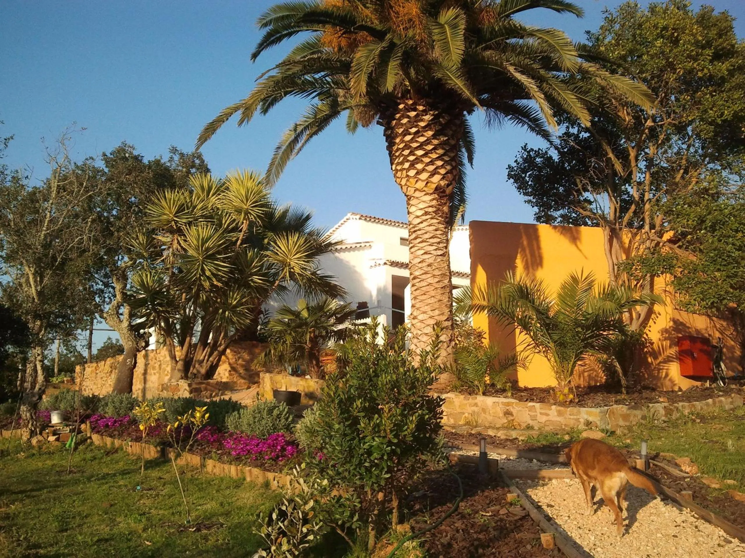 Garden in Herdade Quinta Natura Turismo Rural
