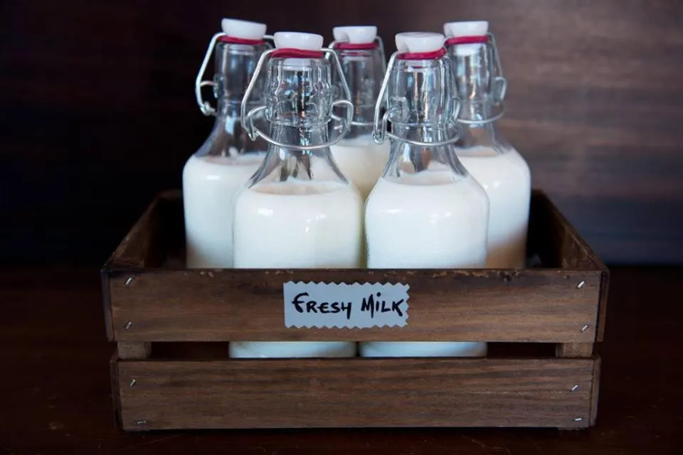 Buffet breakfast in Herdade Quinta Natura Turismo Rural