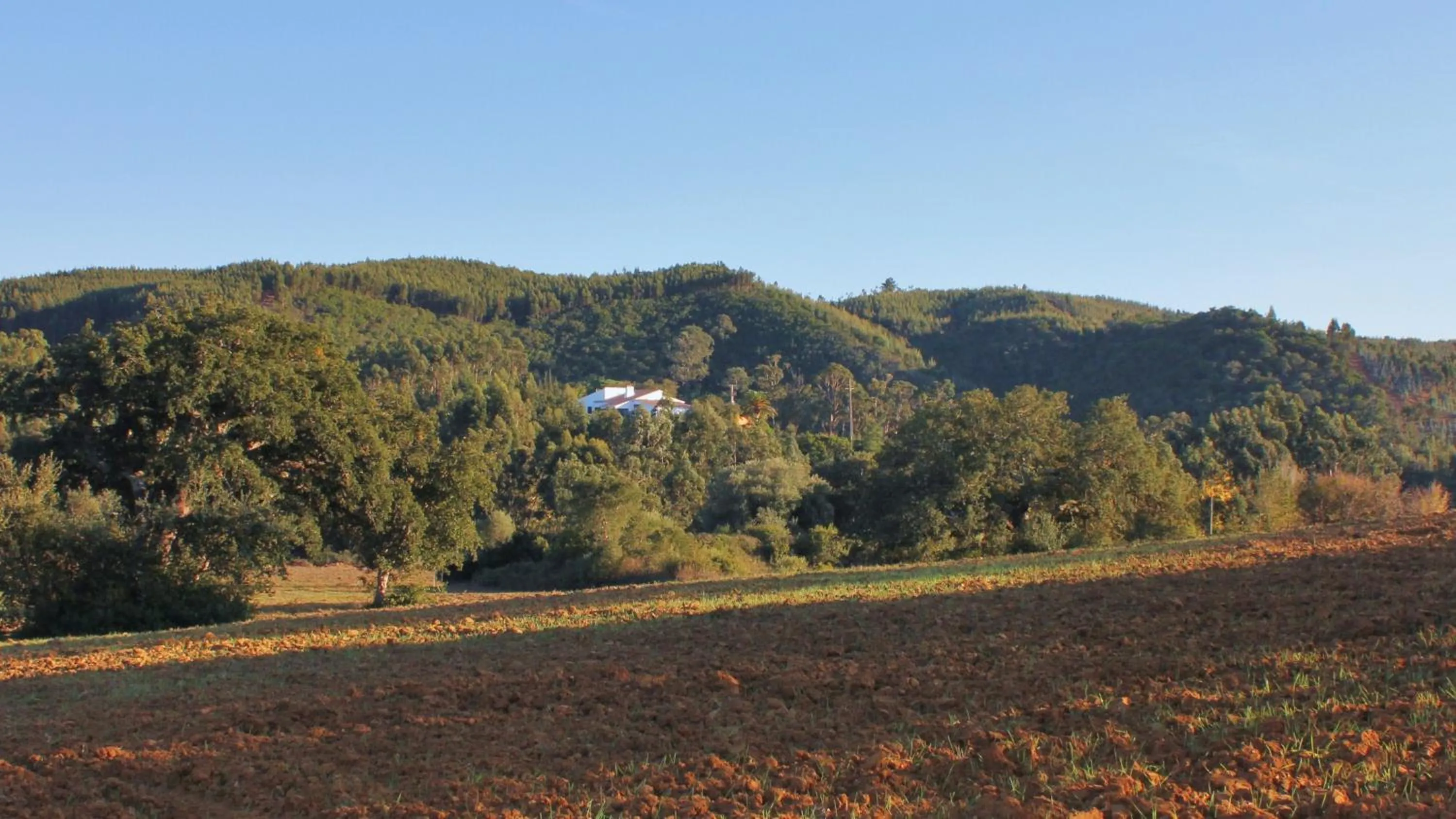 Bird's eye view in Herdade Quinta Natura Turismo Rural