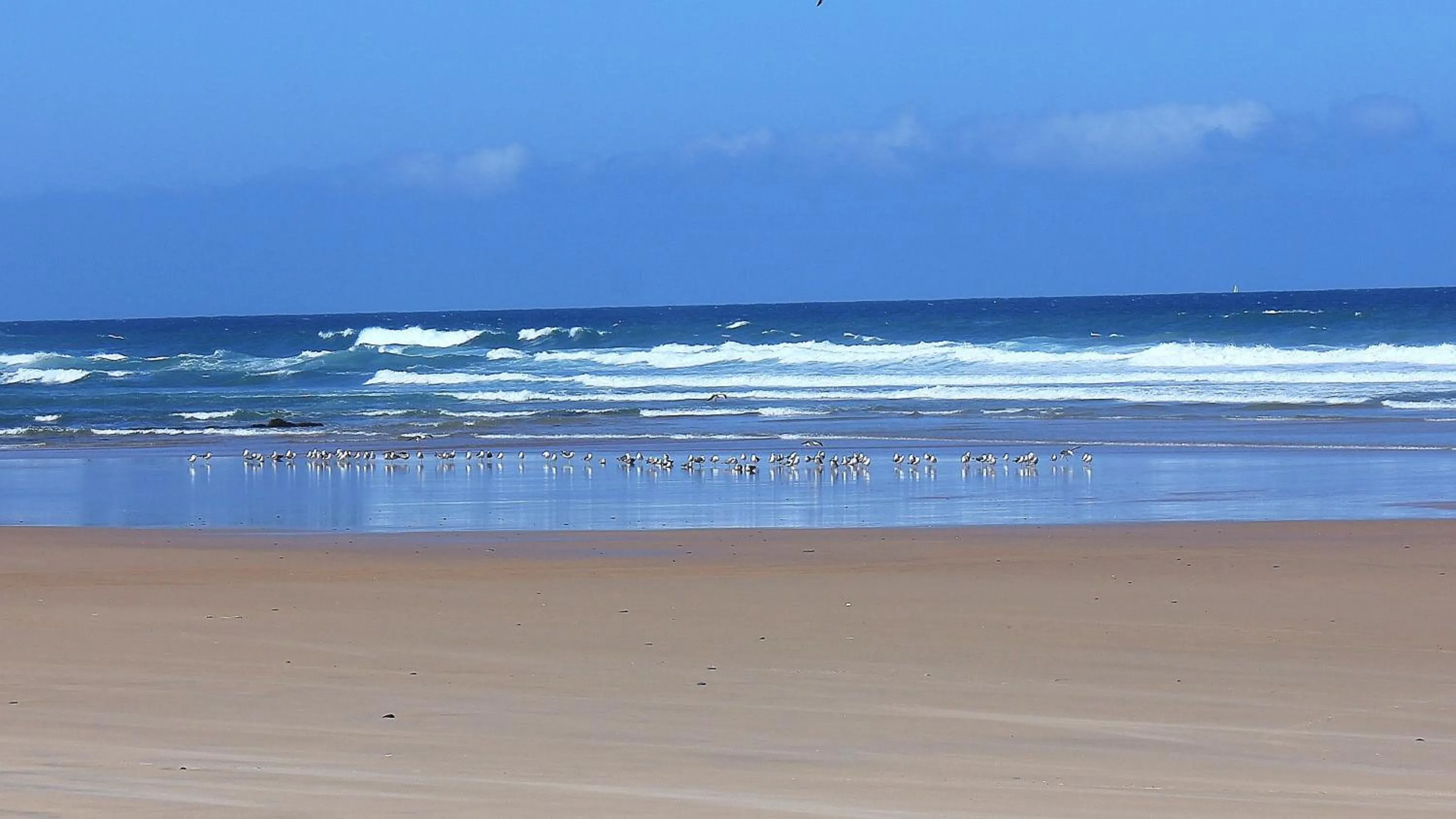 Area and facilities in Herdade Quinta Natura Turismo Rural