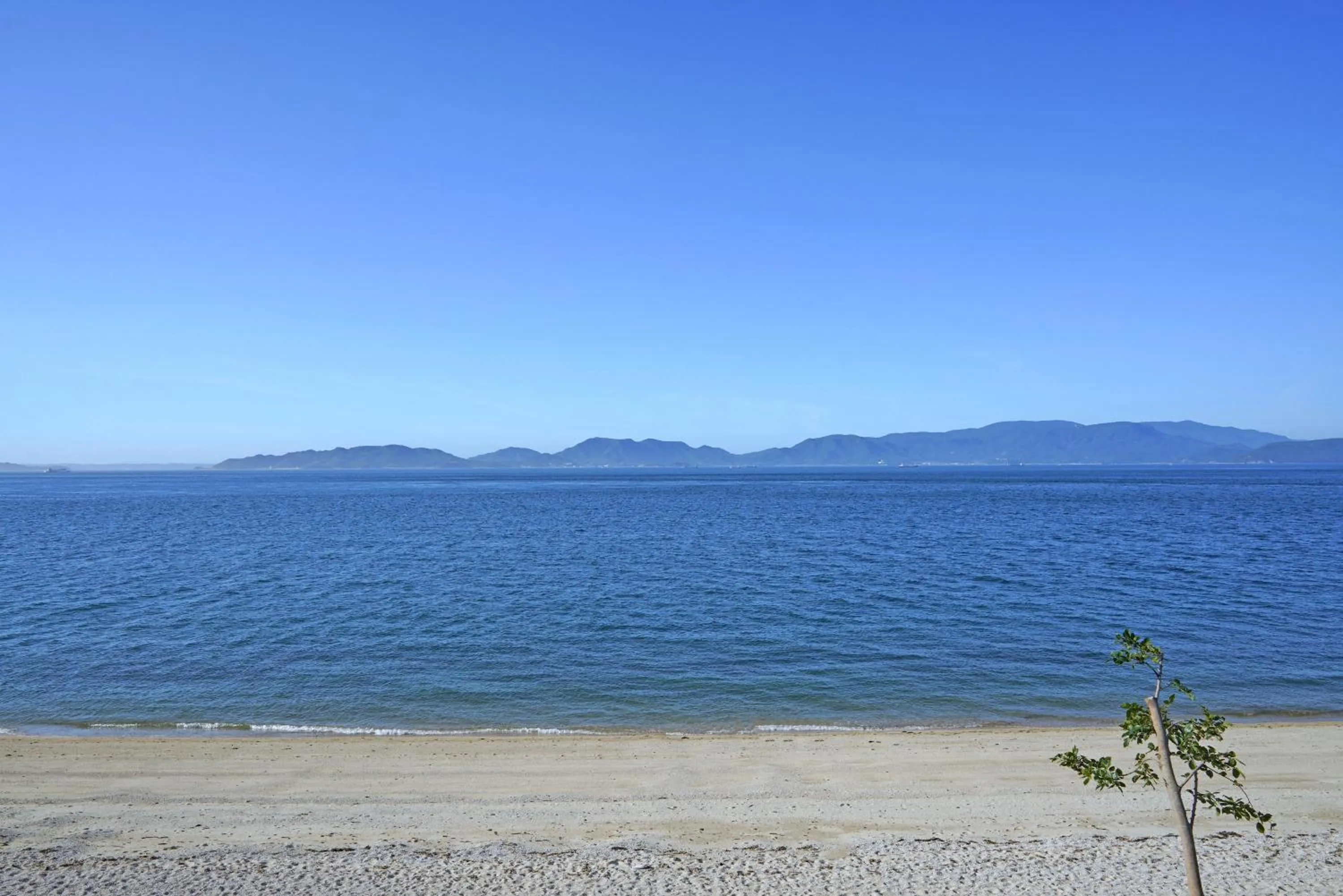 Natural landscape in Seaside Villa SASAO