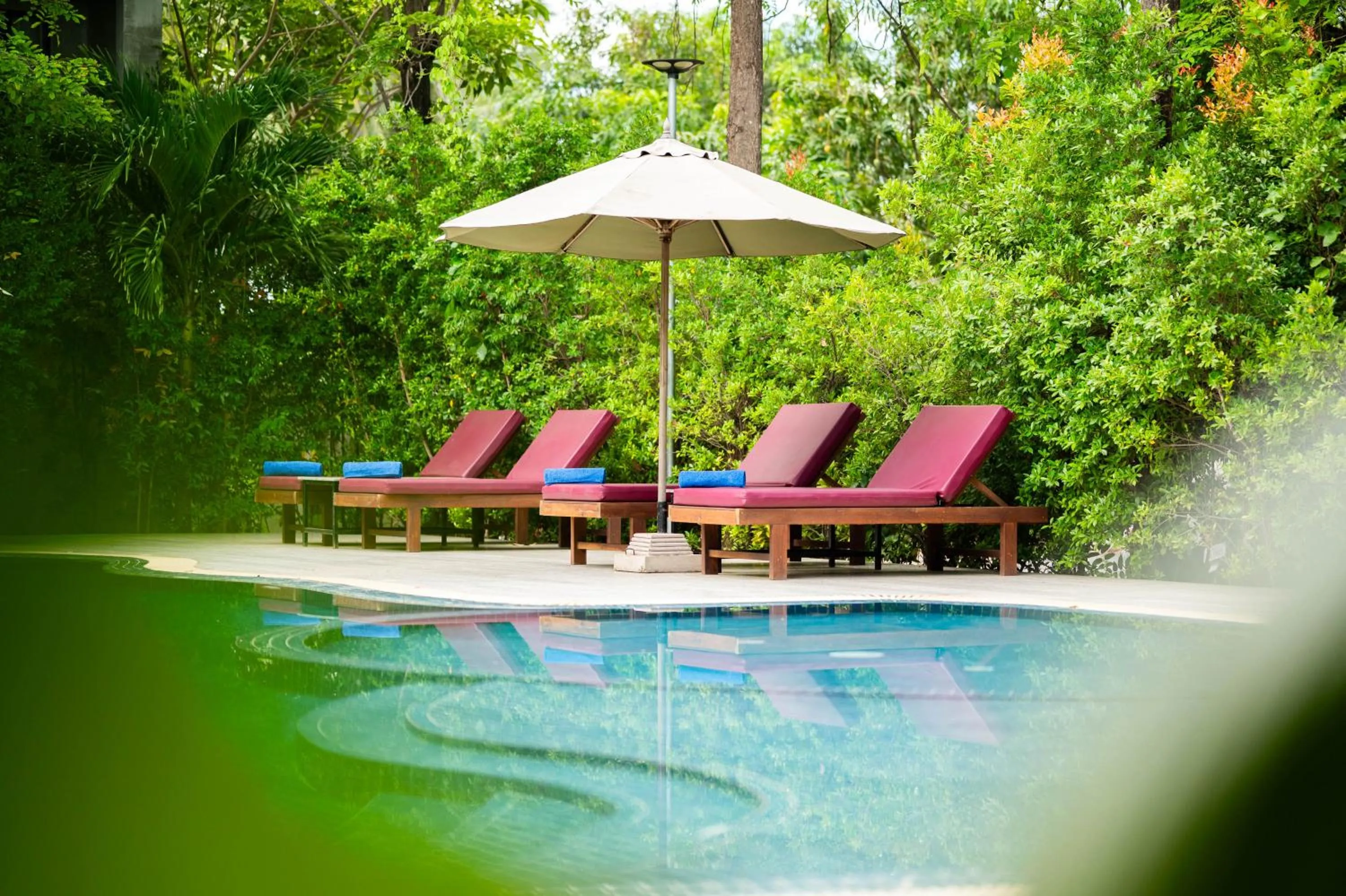 Garden in Kampot Sweet Boutique