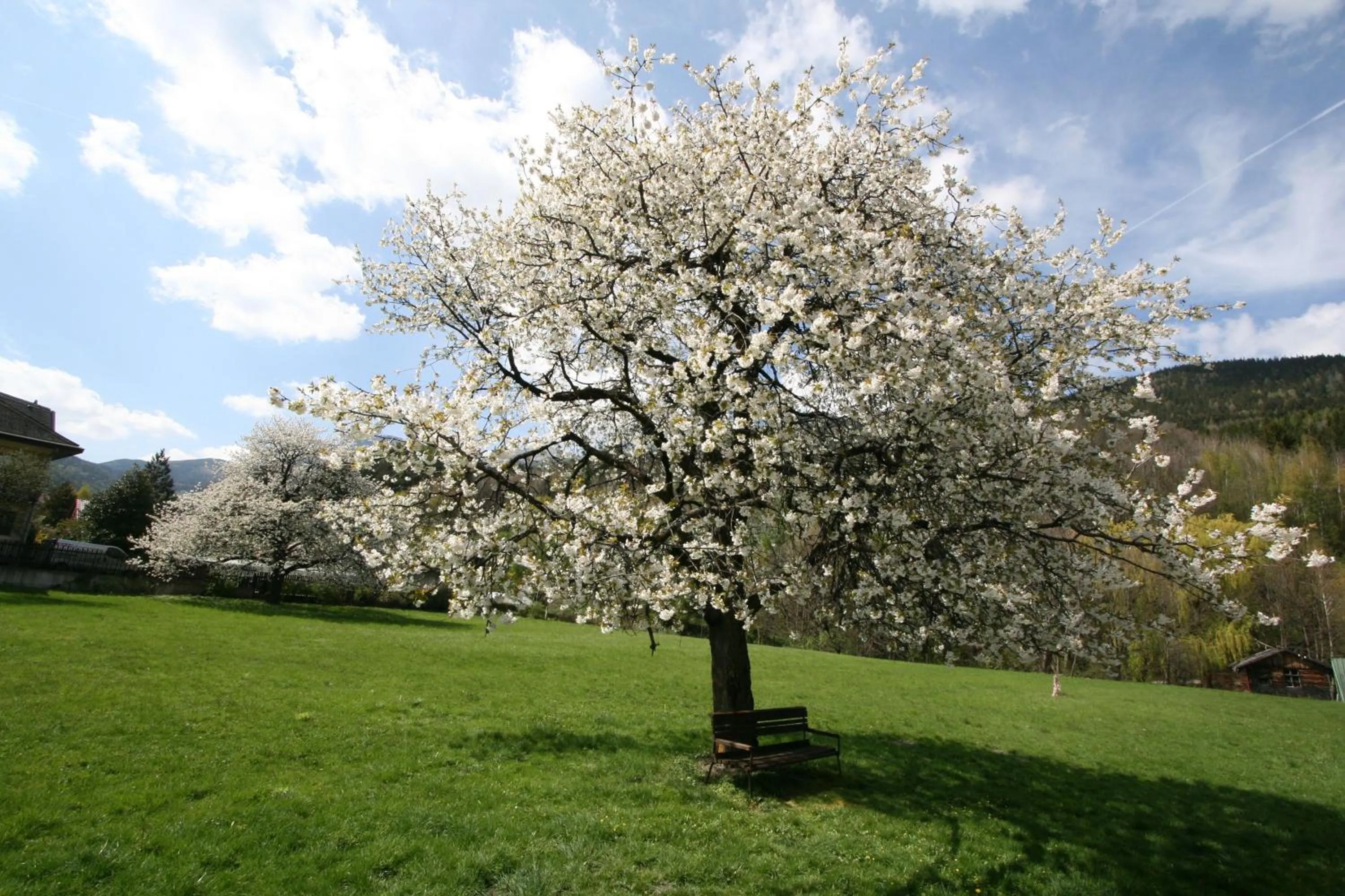 Garden in Scharfegger's Raxalpenhof - Zuhause am Land