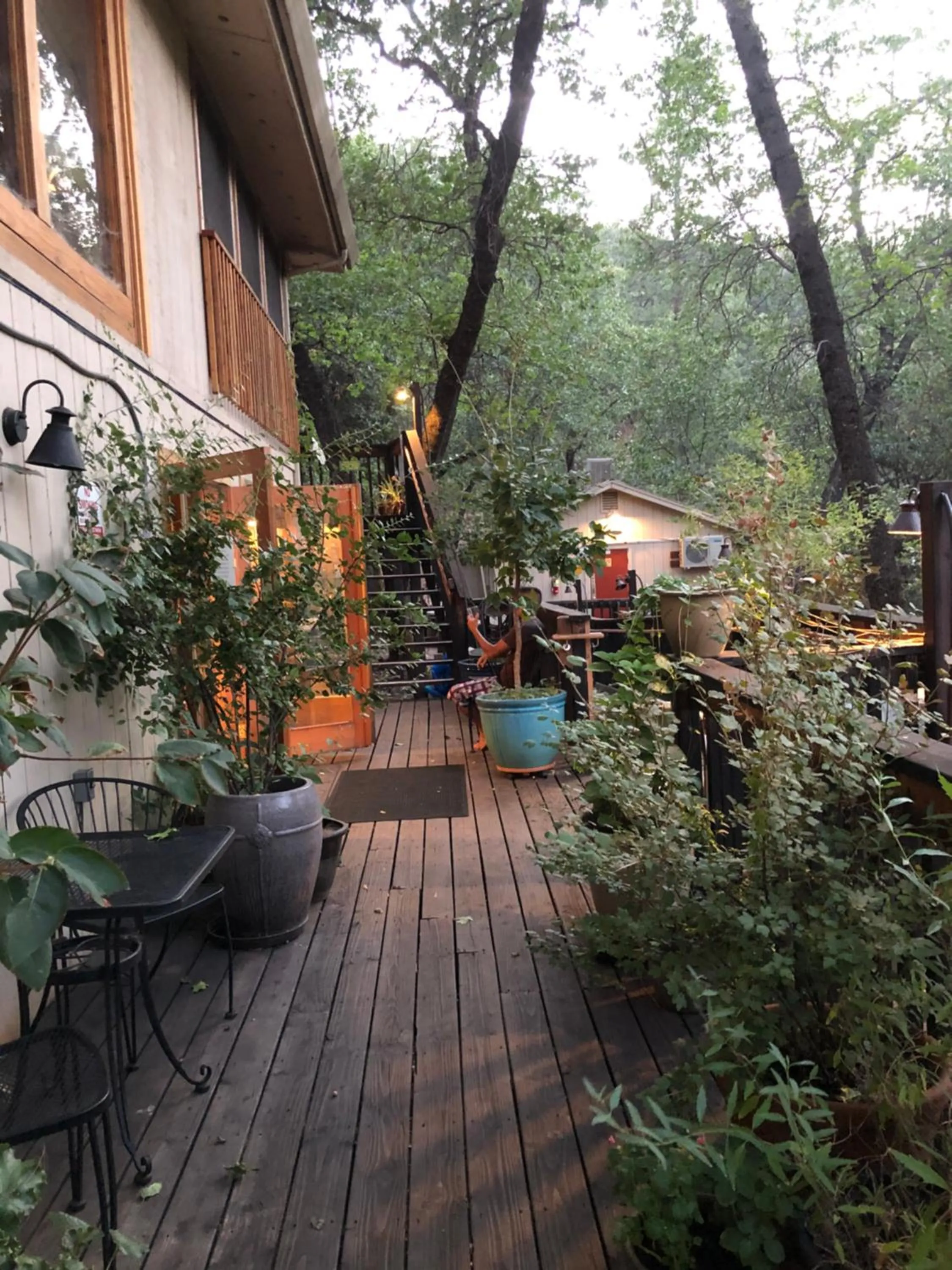 Yosemite Bug Rustic Mountain Resort