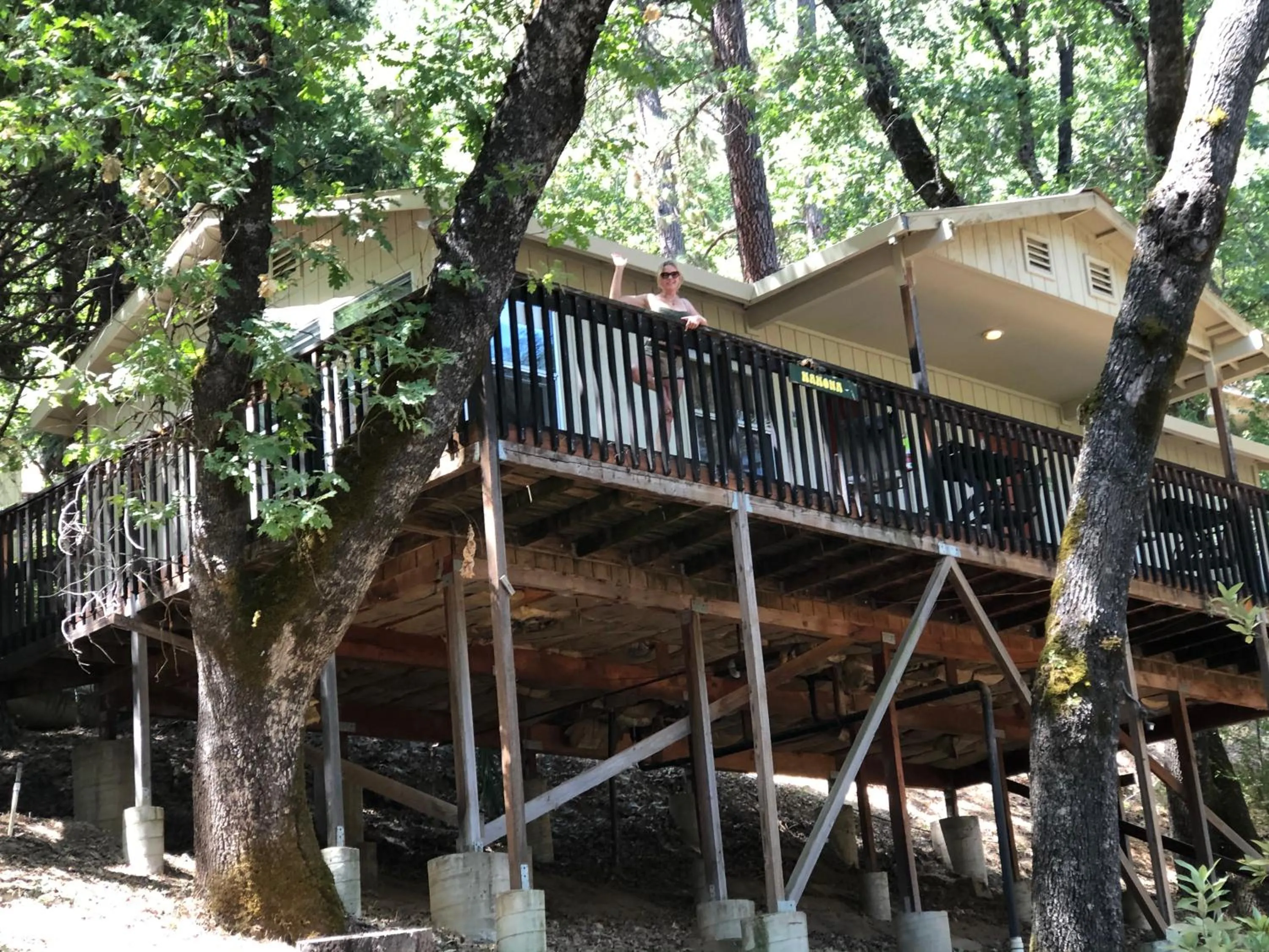 Yosemite Bug Rustic Mountain Resort