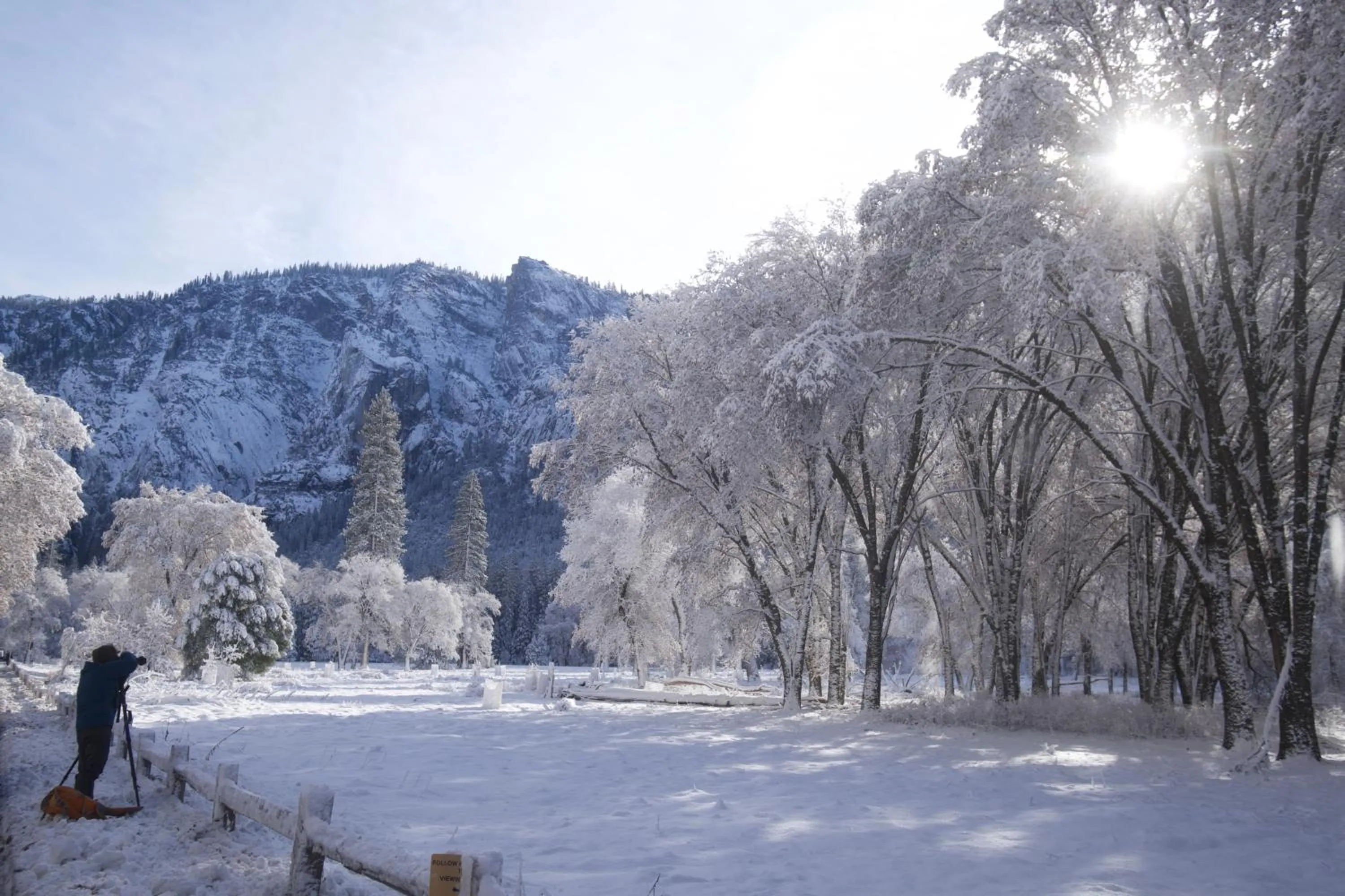 Yosemite Bug Rustic Mountain Resort