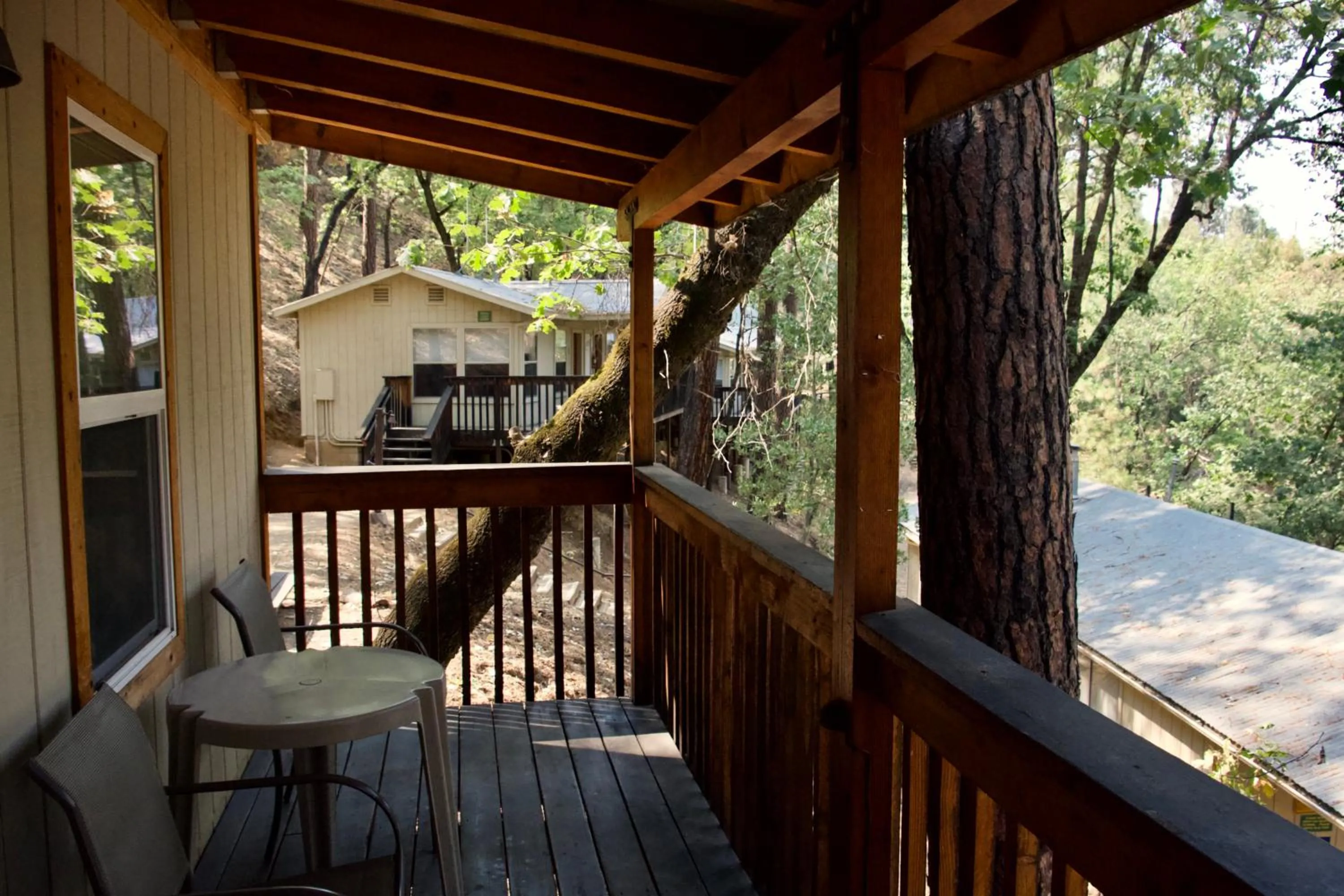 Yosemite Bug Rustic Mountain Resort