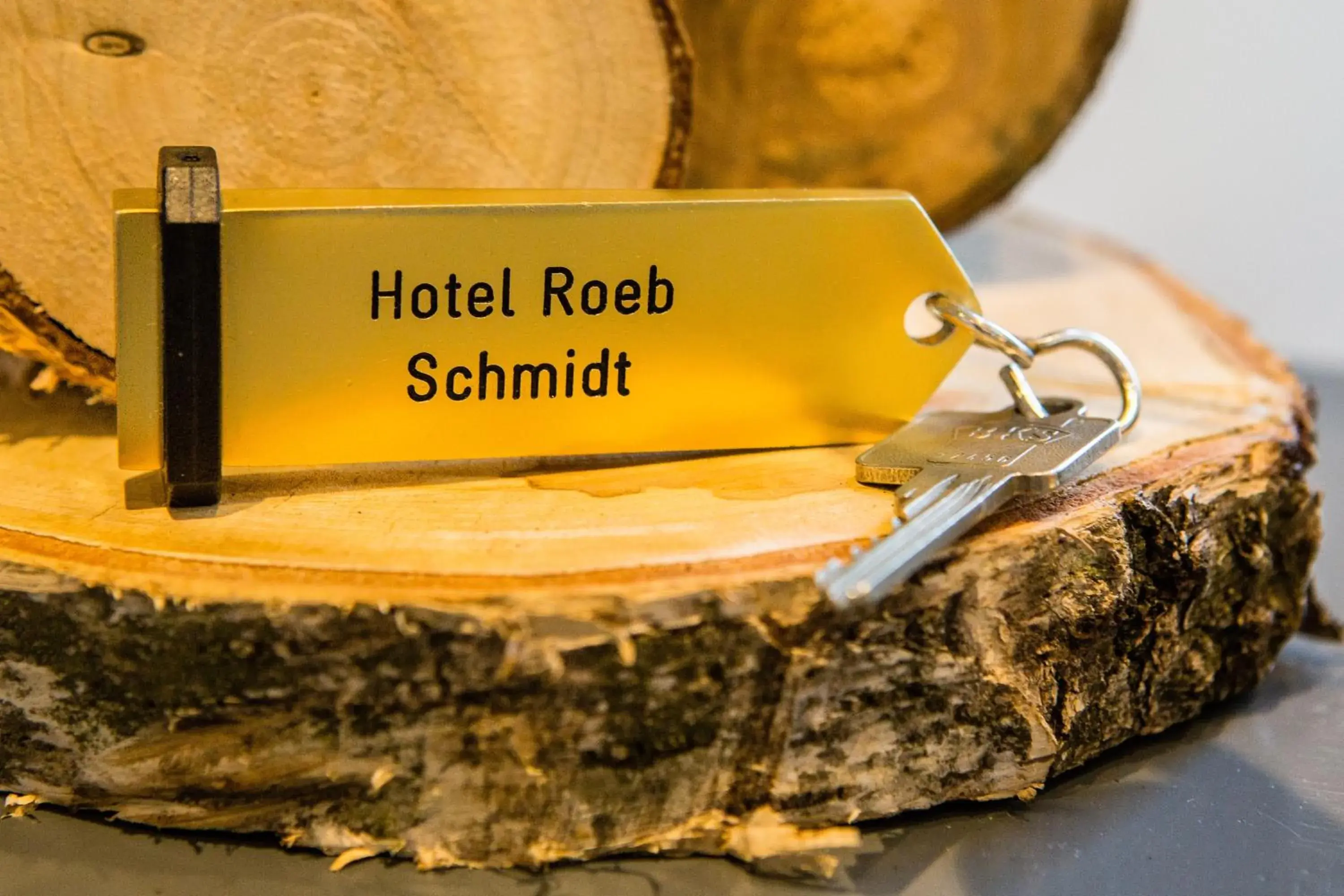 Single Room in Hotel Roeb Single Room in Hotel Roeb