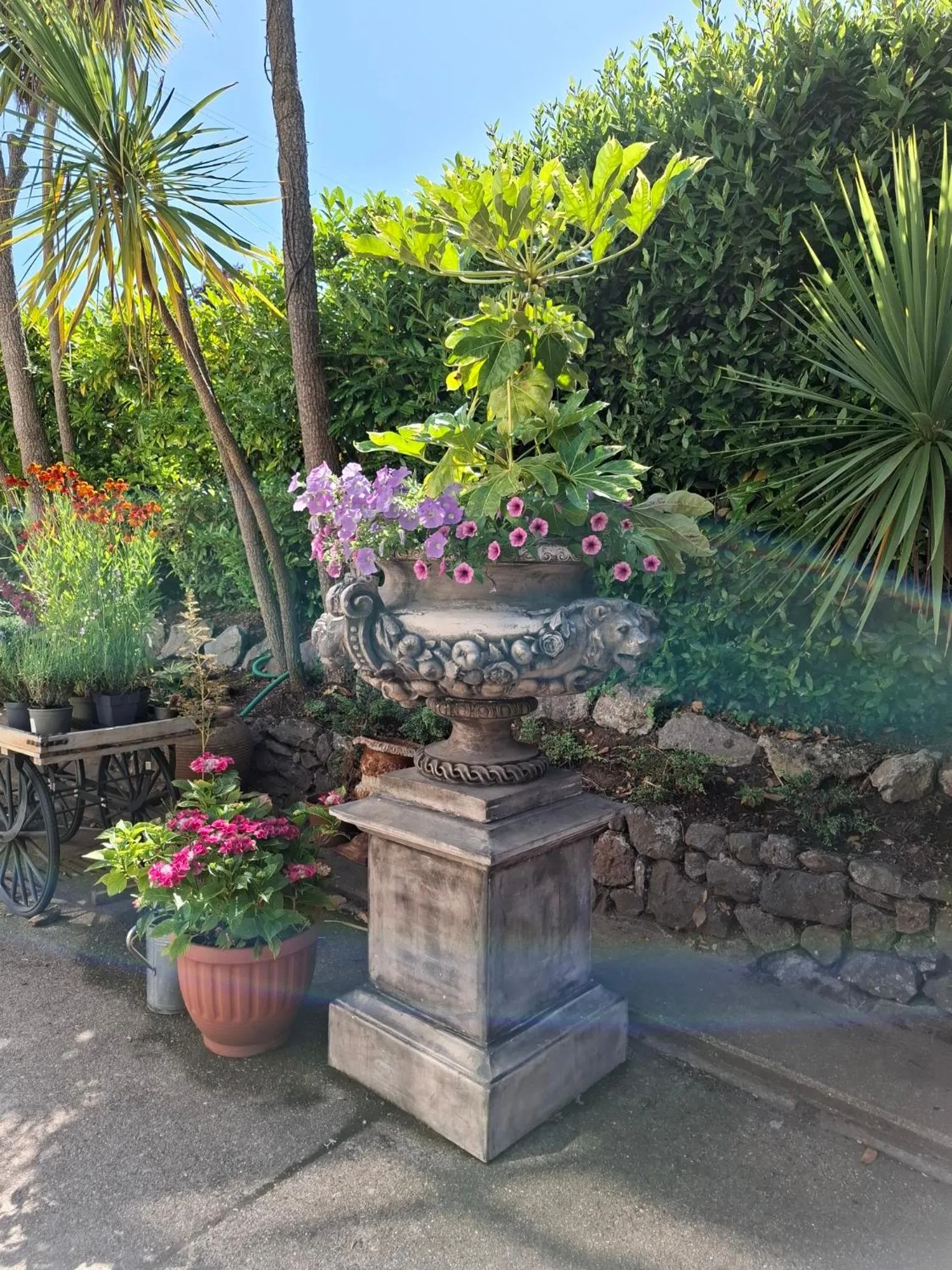 Palm Grove Apartments