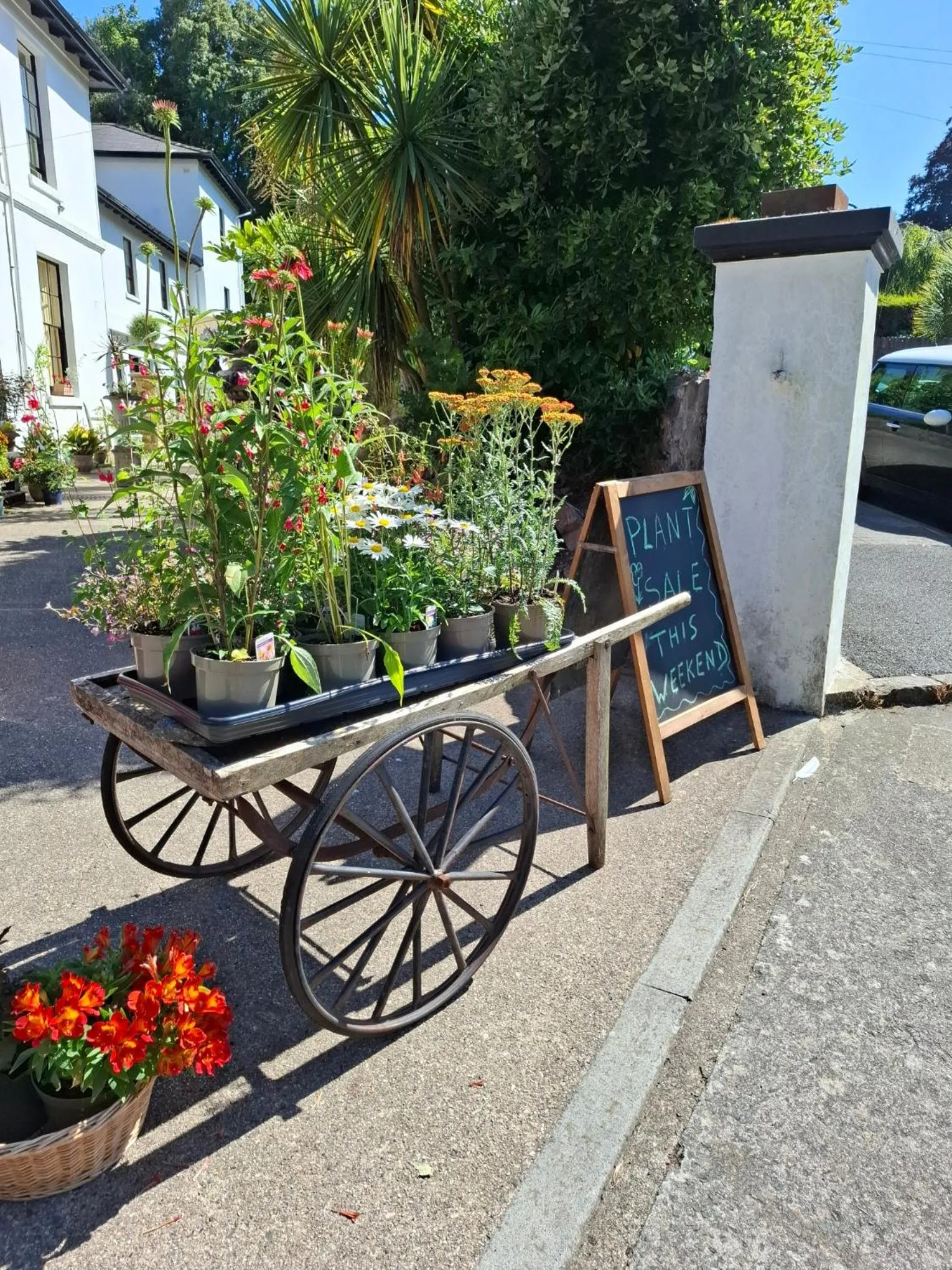 Palm Grove Apartments