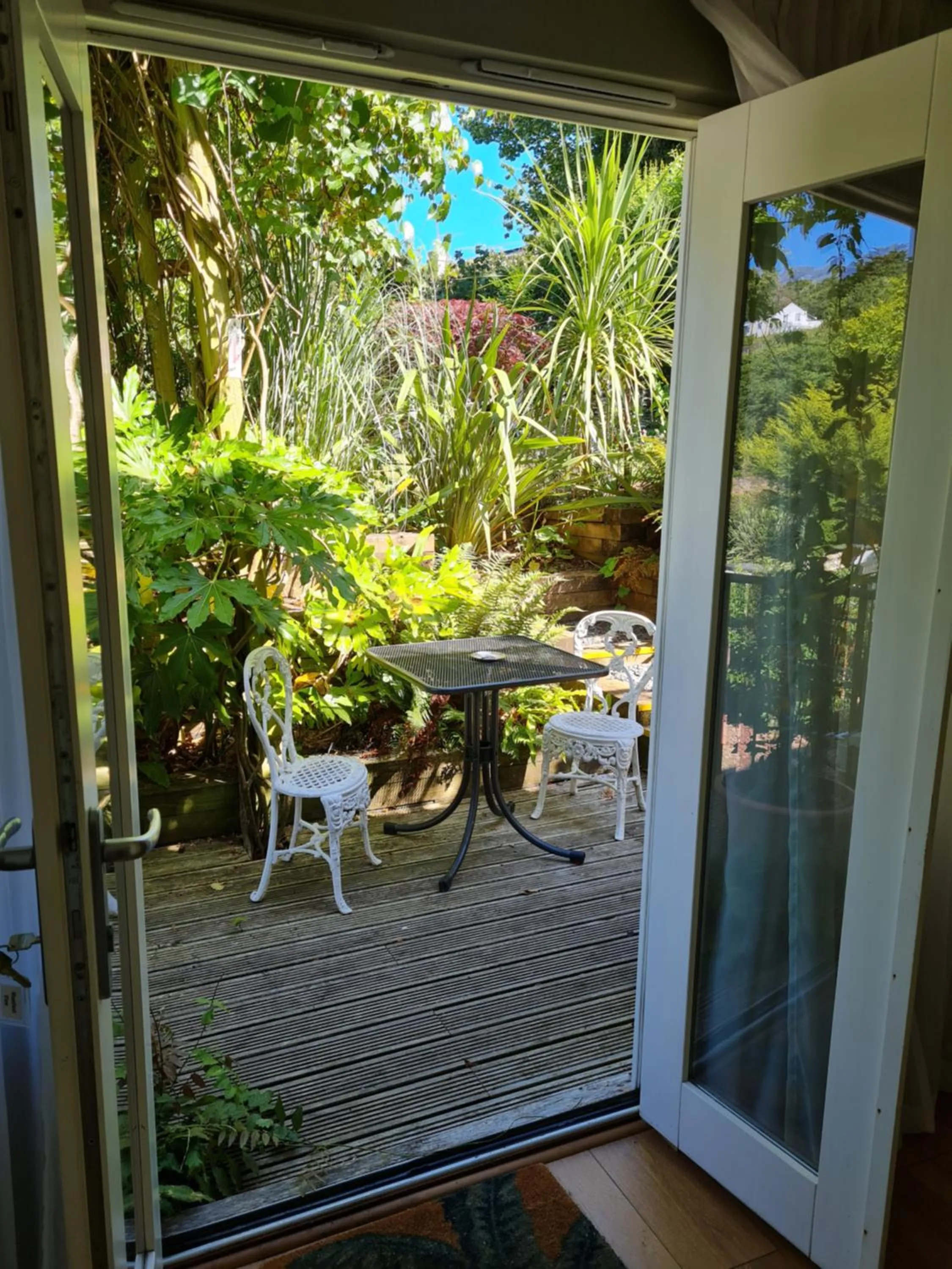 Patio in Palm Grove Apartments