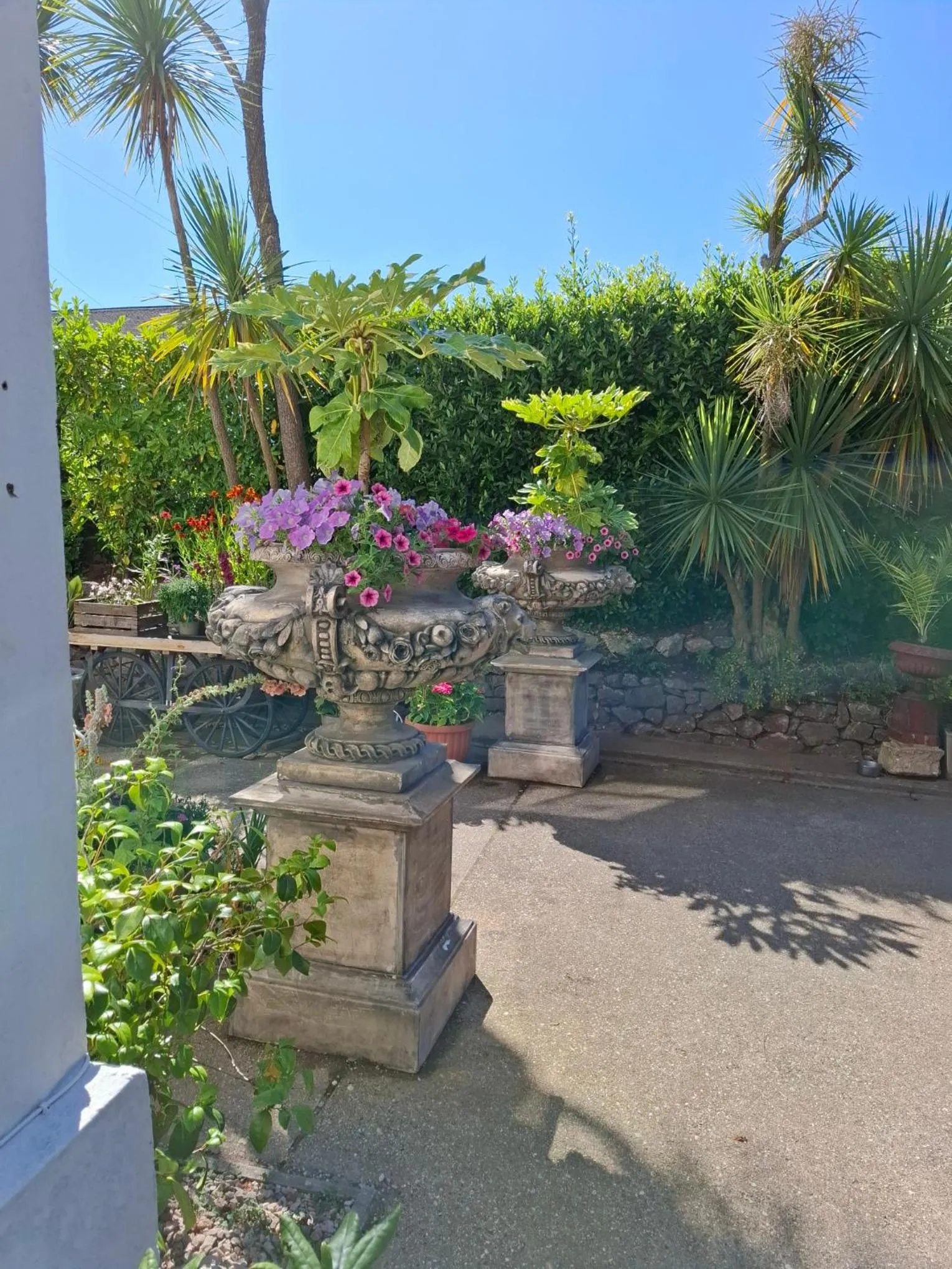 Palm Grove Apartments